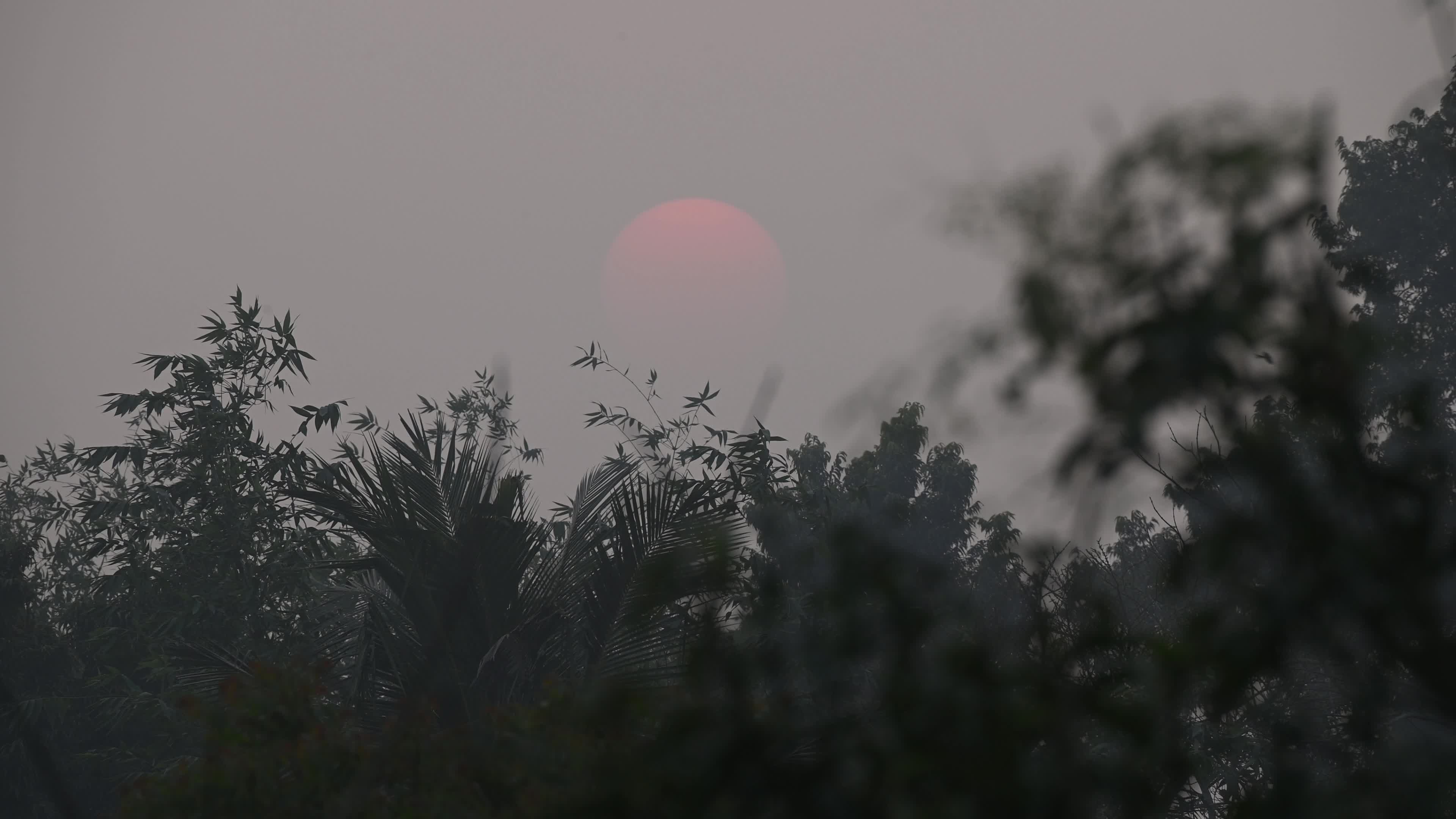 The Last Sunset Of The Year - 2025 - New Year's Eve 