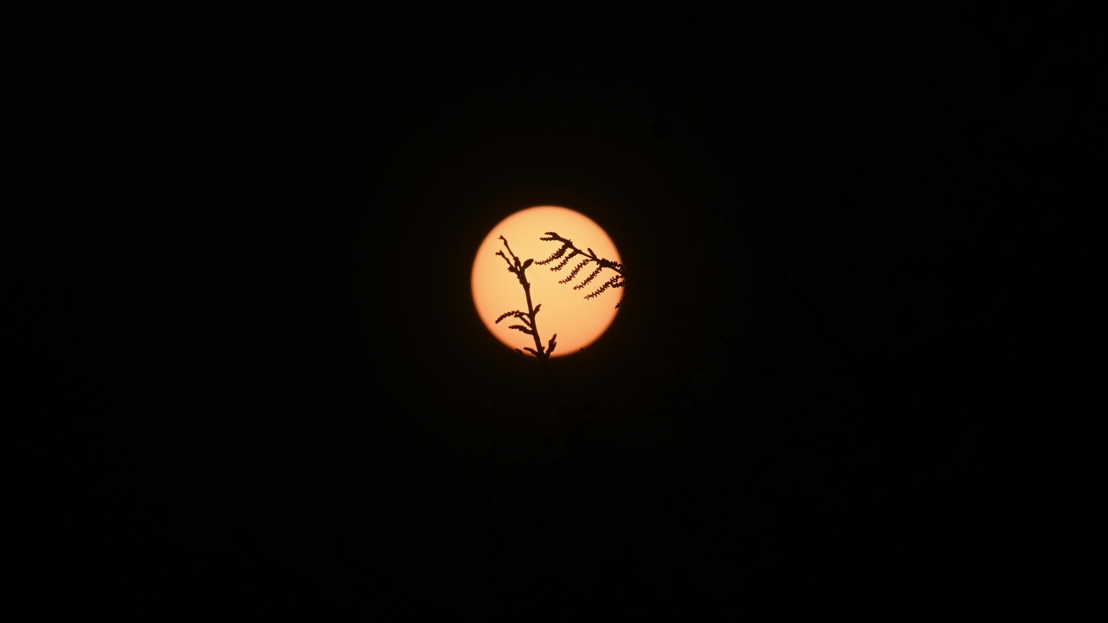 The Last Sunset Of The Year - 2025 - New Year's Eve 