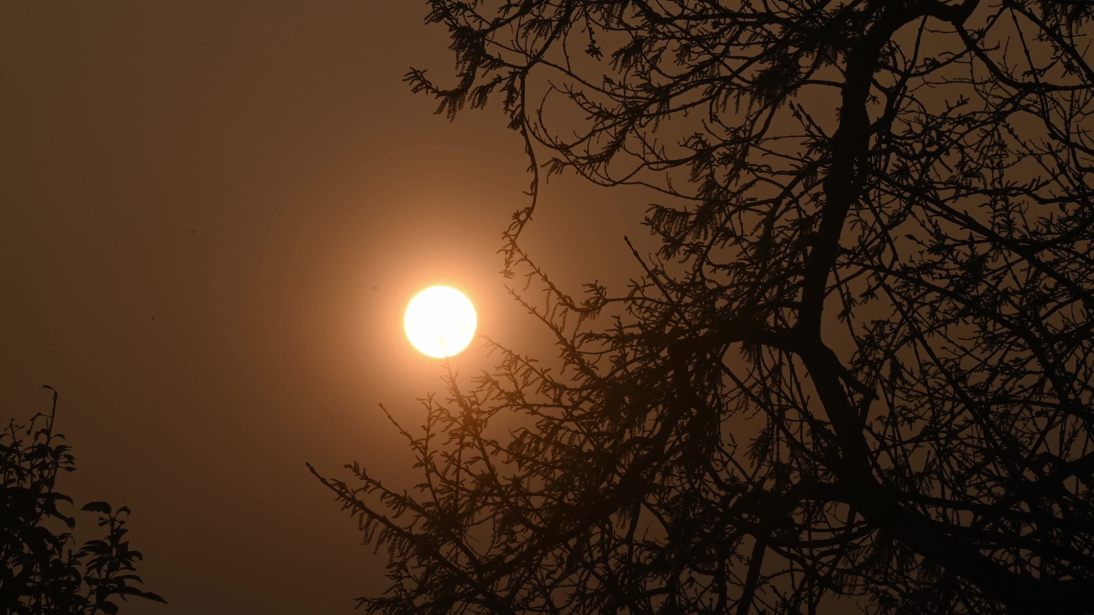 The Last Sunset Of The Year - 2025 - New Year's Eve 