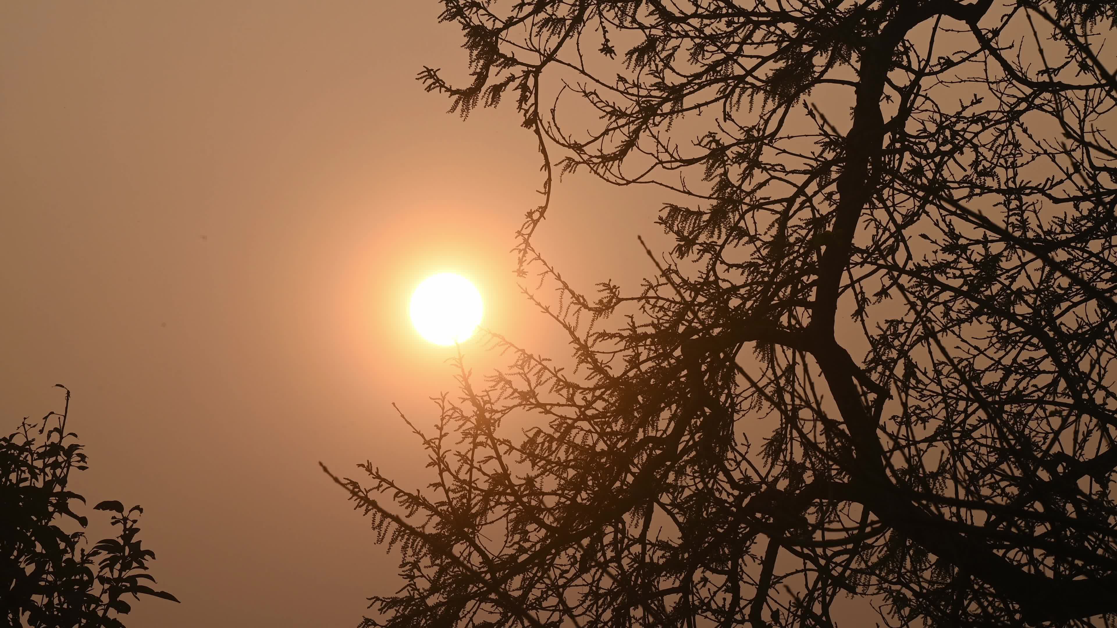 The Last Sunset Of The Year - 2025 - New Year's Eve 