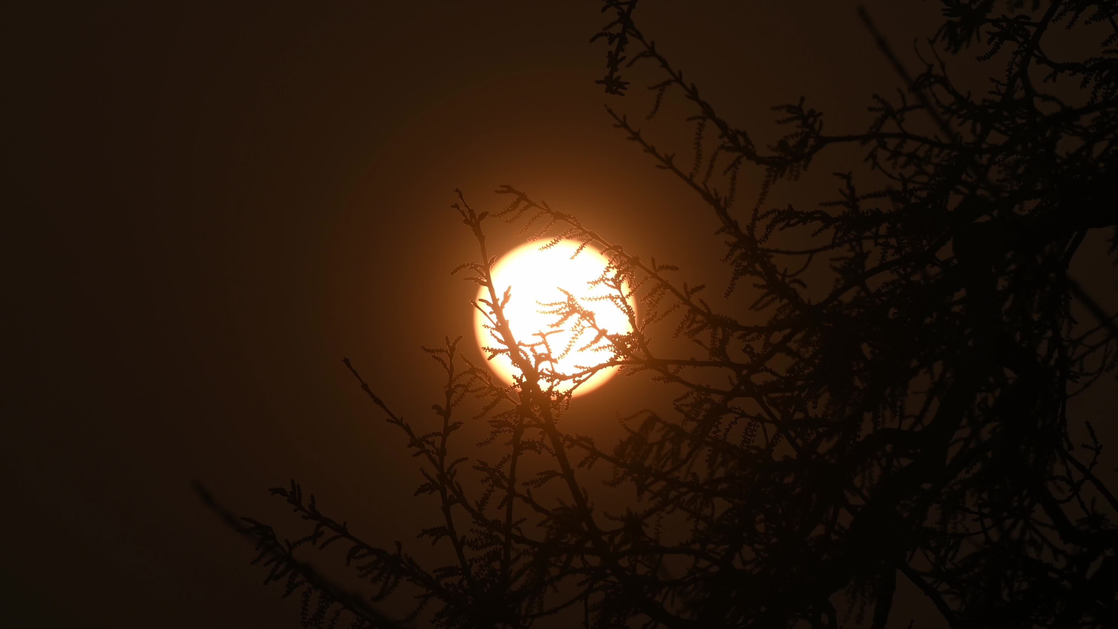 The Last Sunset Of The Year - 2025 - New Year's Eve 