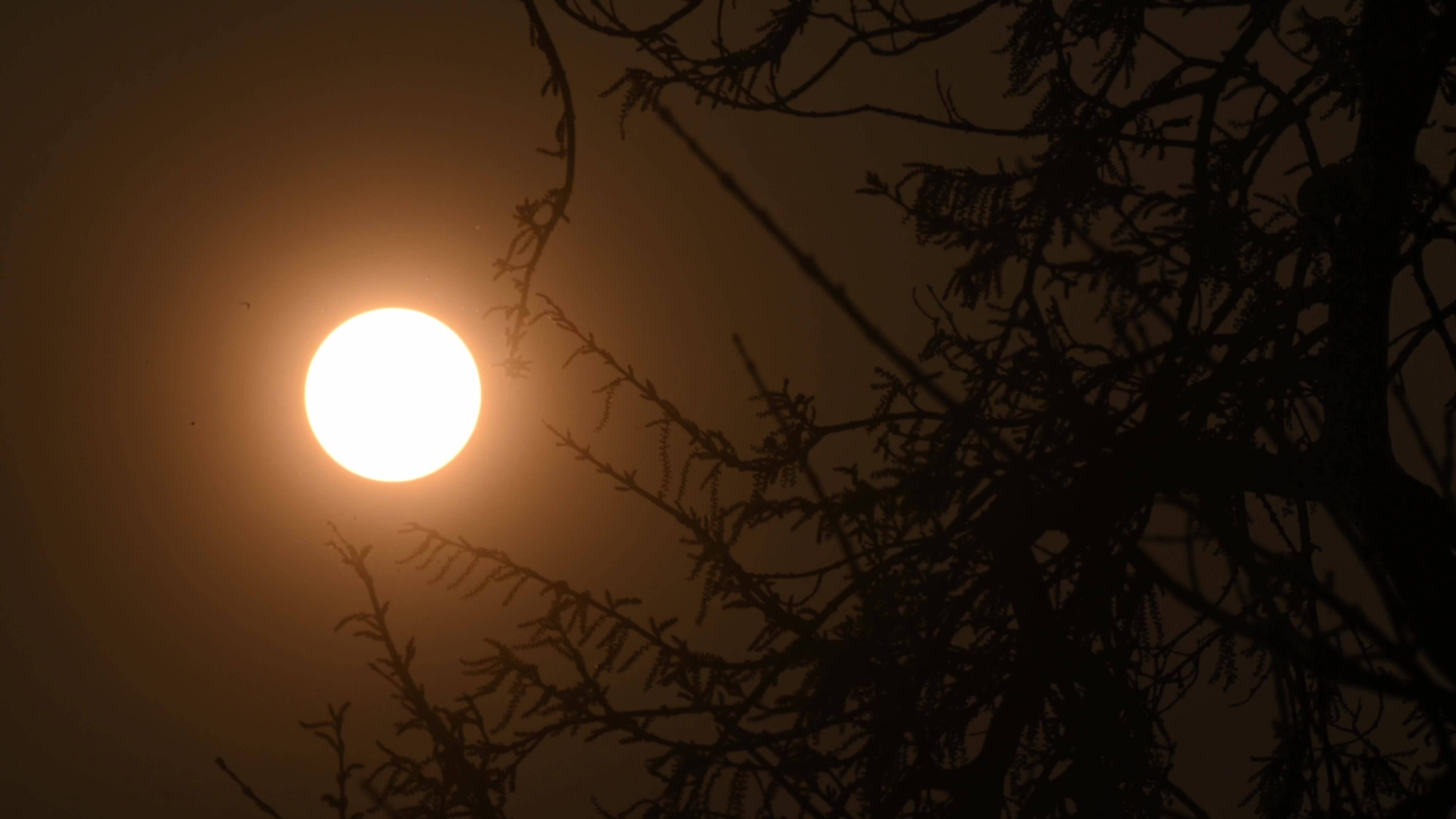 The Last Sunset Of The Year - 2025 - New Year's Eve 
