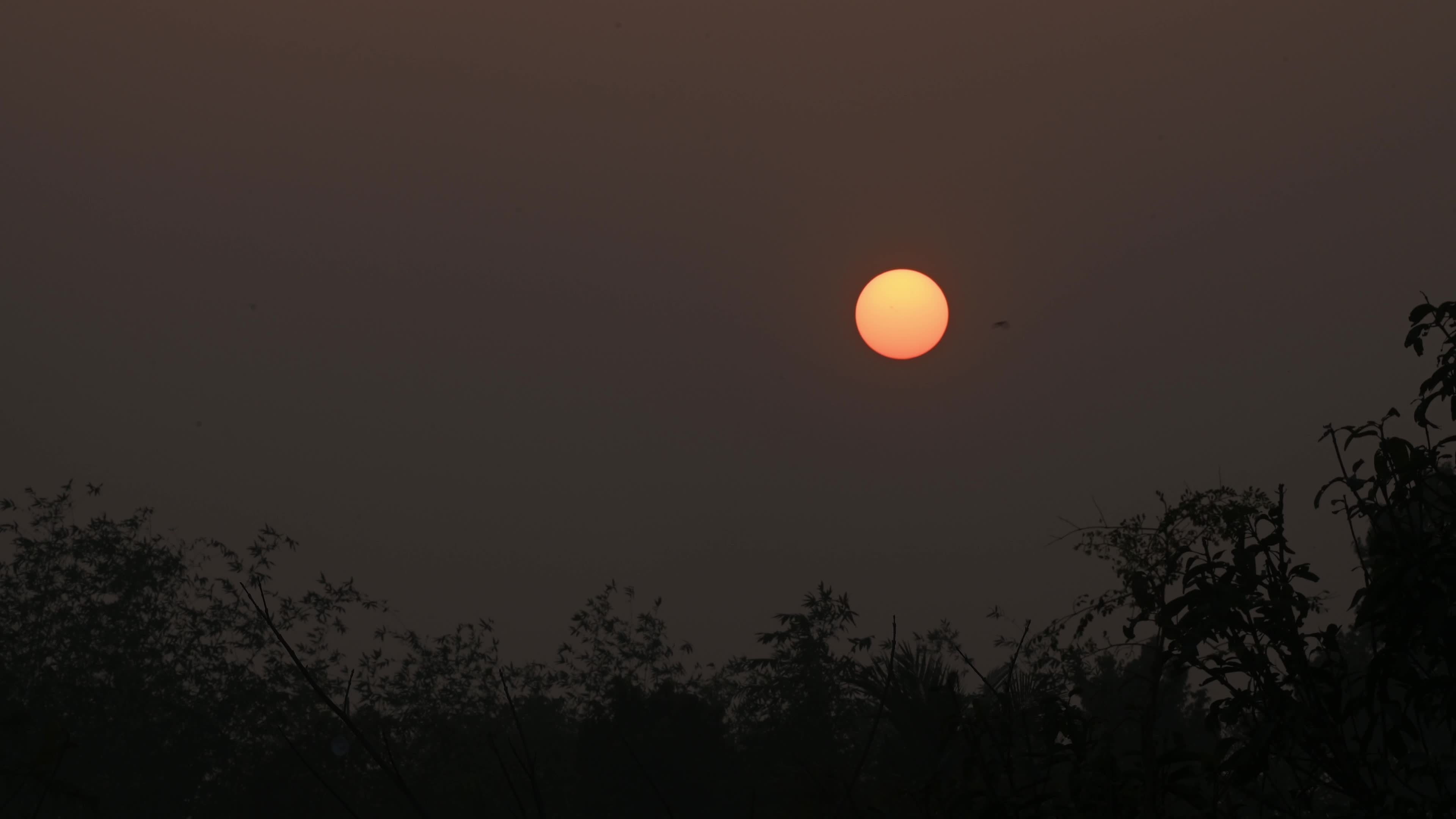The Last Sunset Of The Year - 2025 - New Year's Eve 