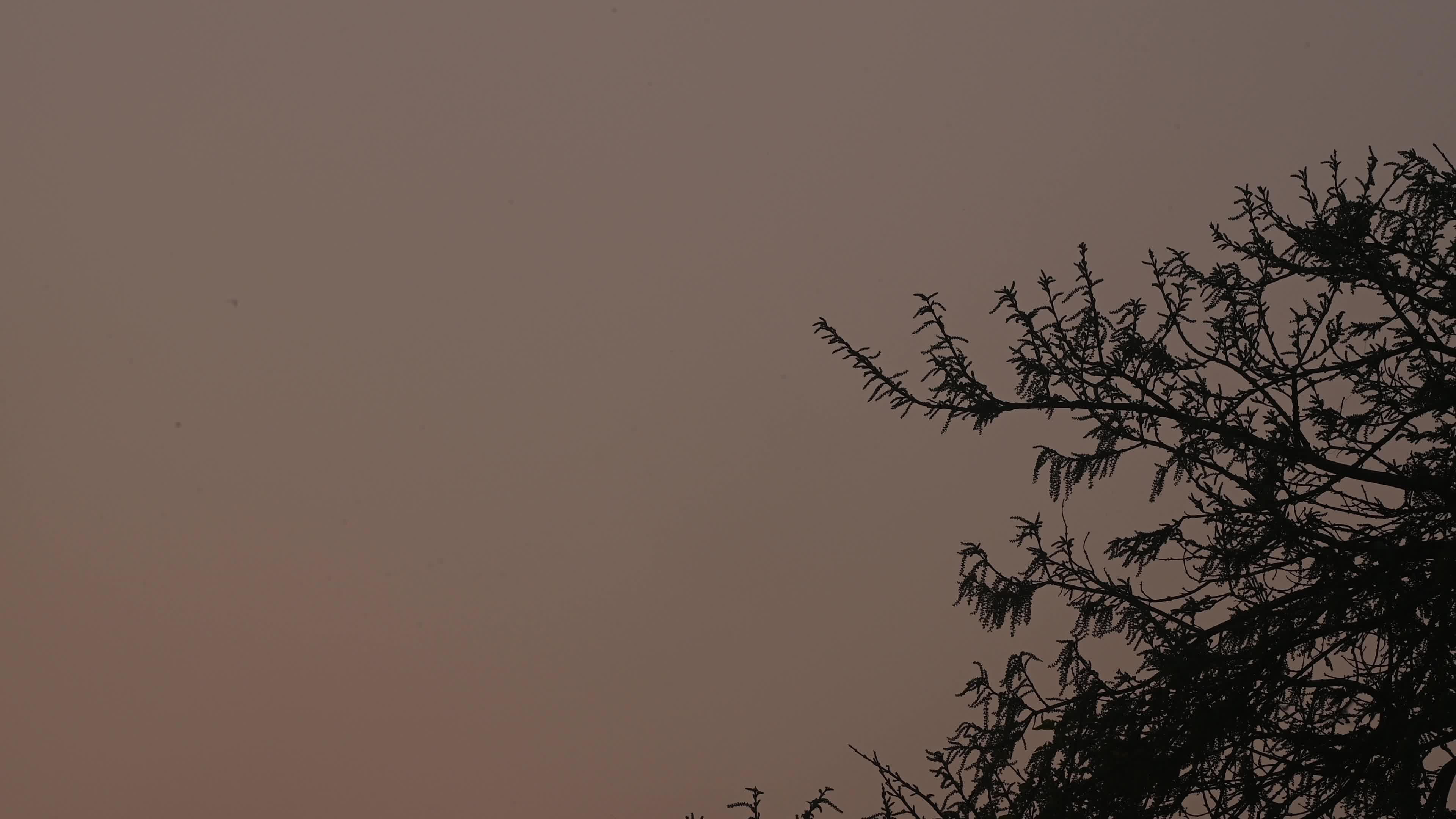 The Last Sunset Of The Year - 2025 - New Year's Eve 
