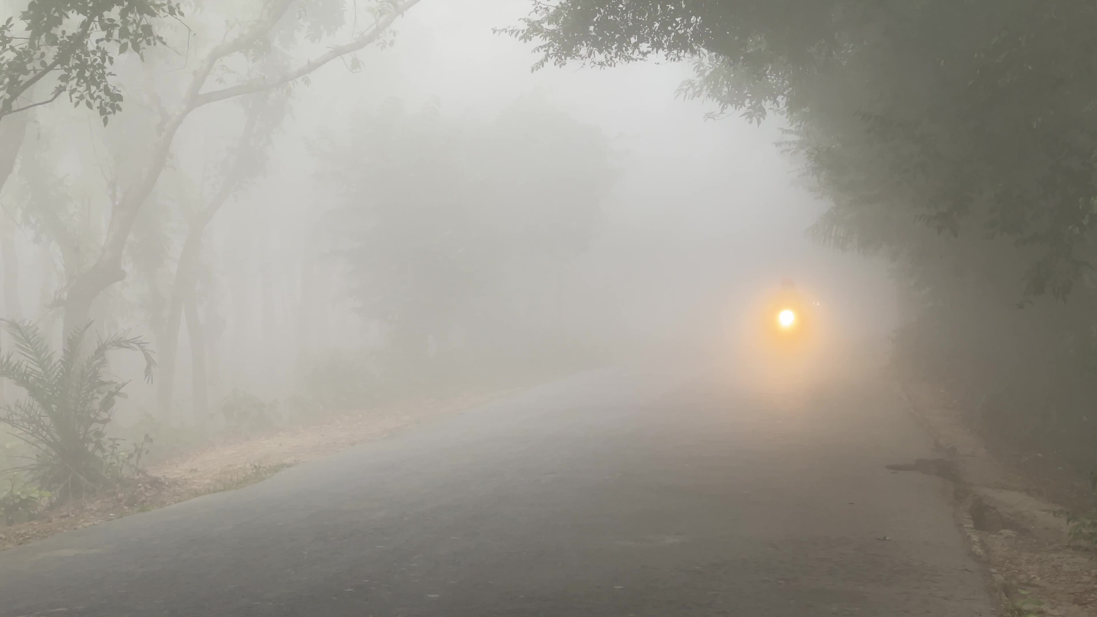 Daily Life in Magura