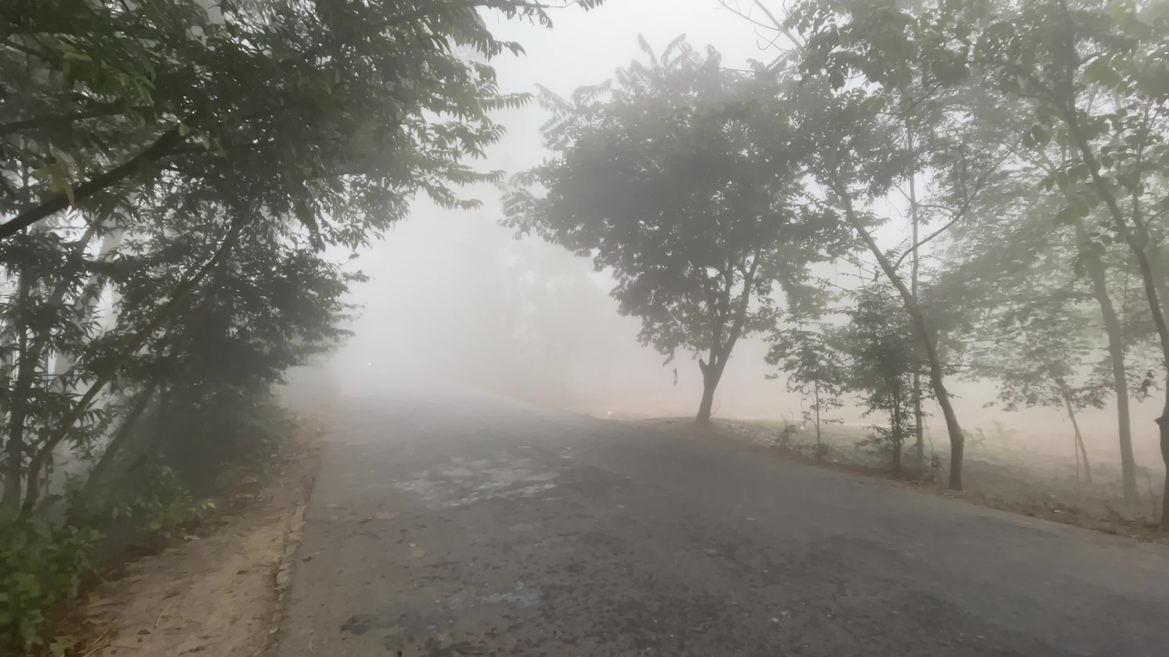 Daily Life in Magura