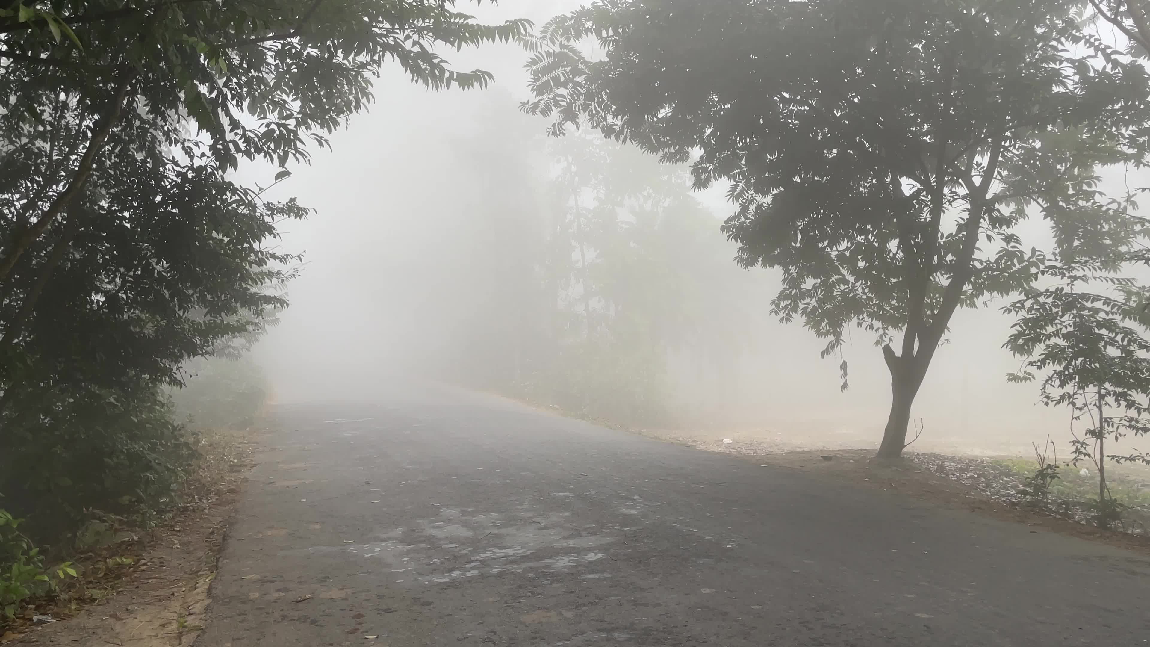 Daily Life in Magura