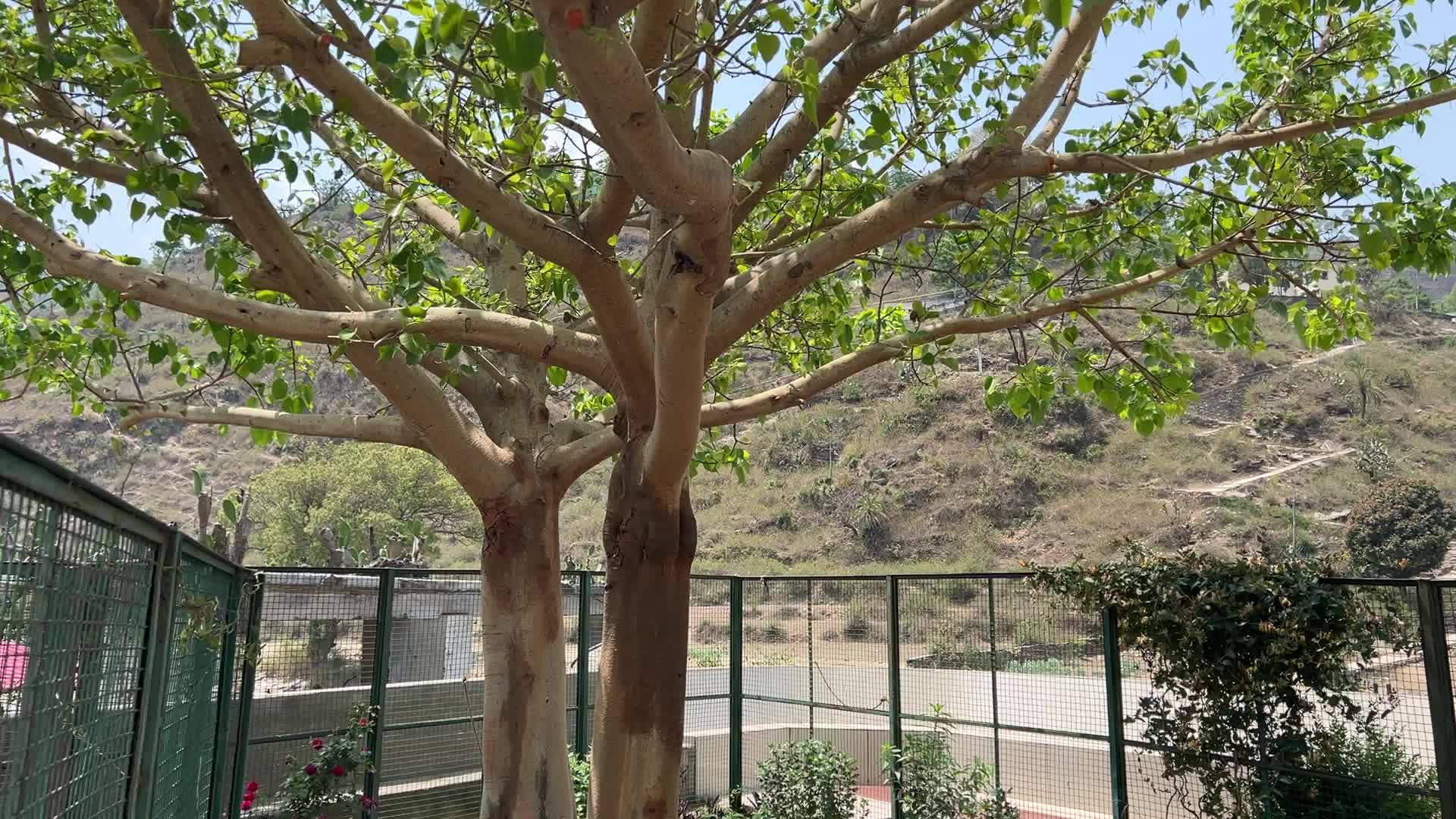Karkateshwar Mahadev Temple and Ashram