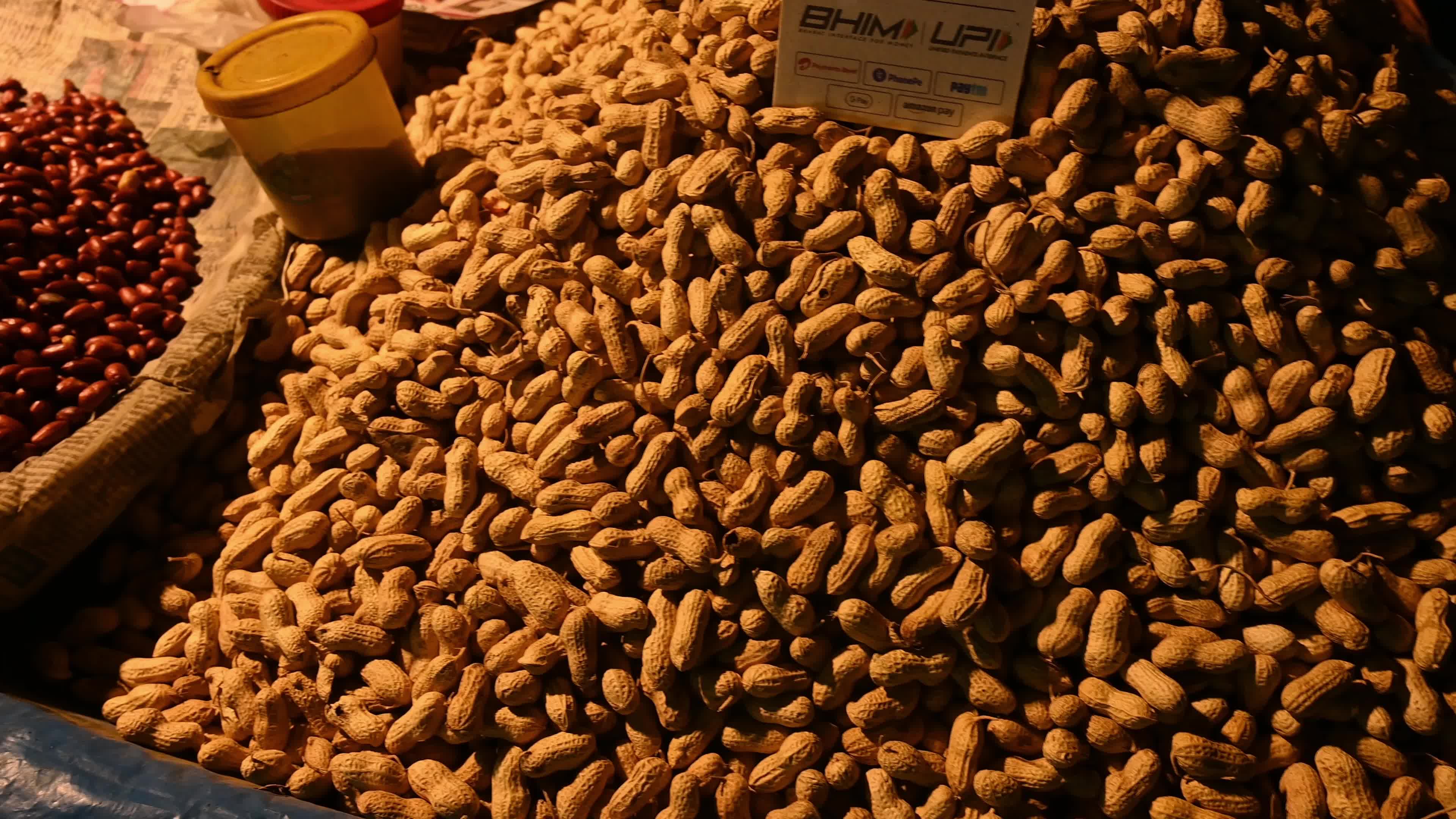 Hot Roasted Peanuts For Sale 