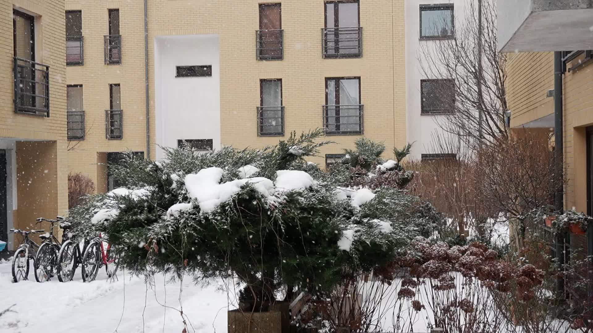 Poland braces for heavy snowfall and strong winds