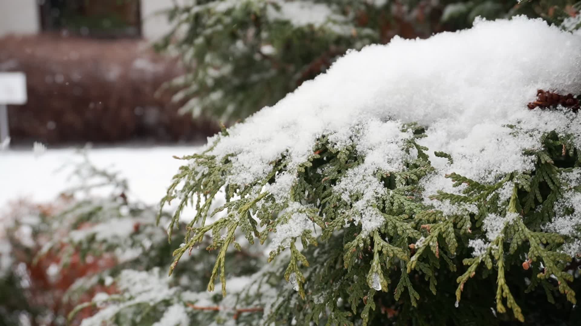 Poland braces for heavy snowfall and strong winds