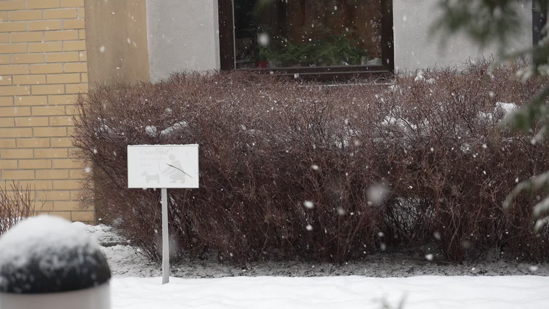 Poland braces for heavy snowfall and strong winds