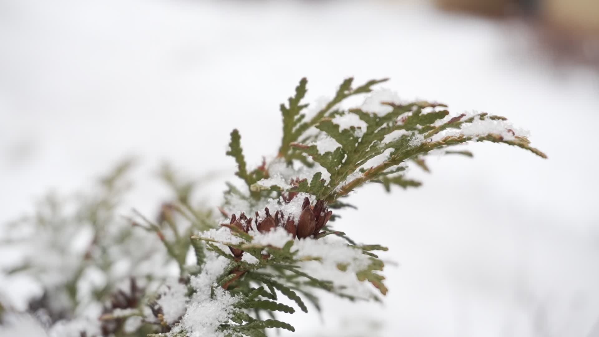 Poland braces for heavy snowfall and strong winds