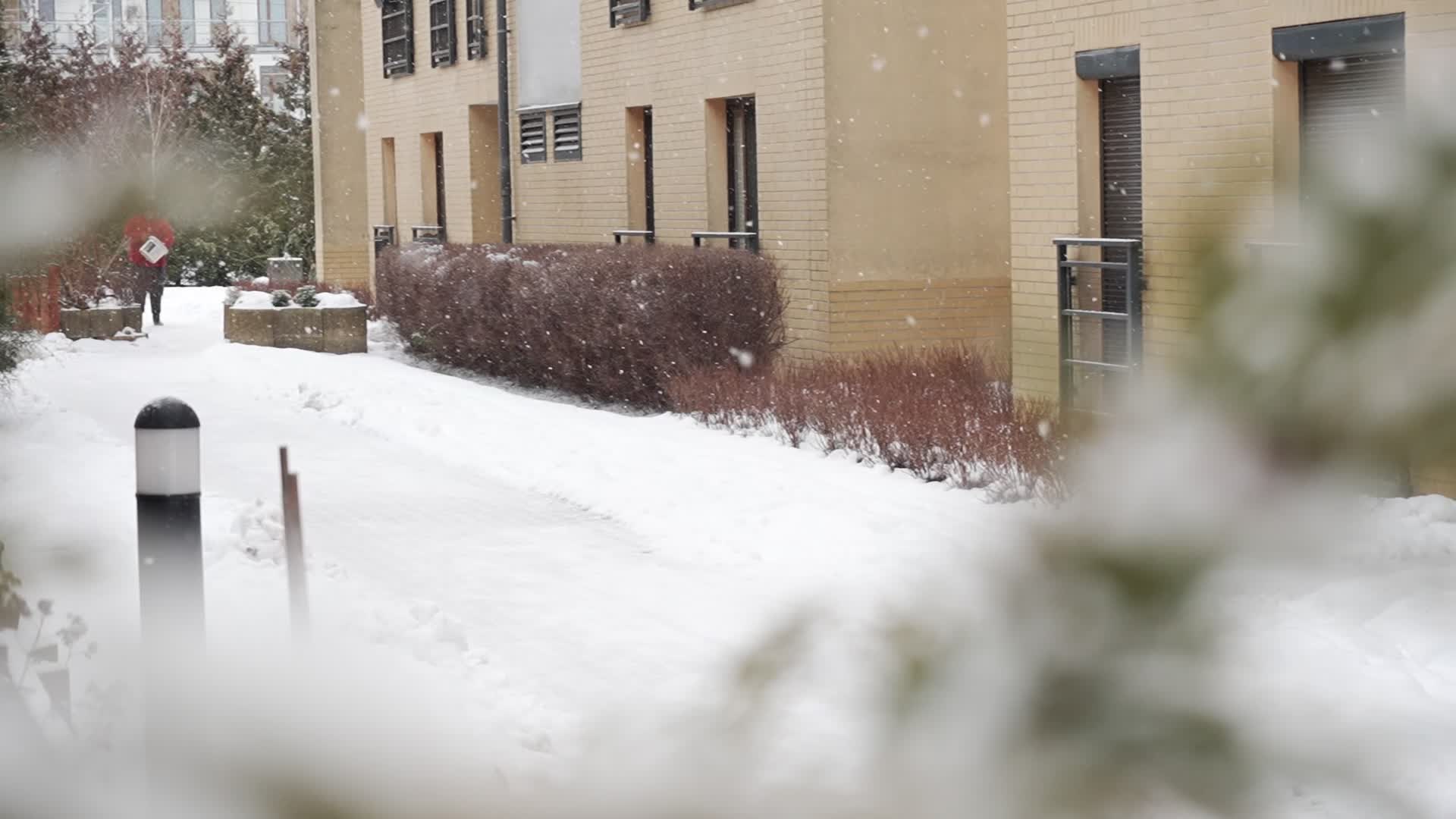 Poland braces for heavy snowfall and strong winds