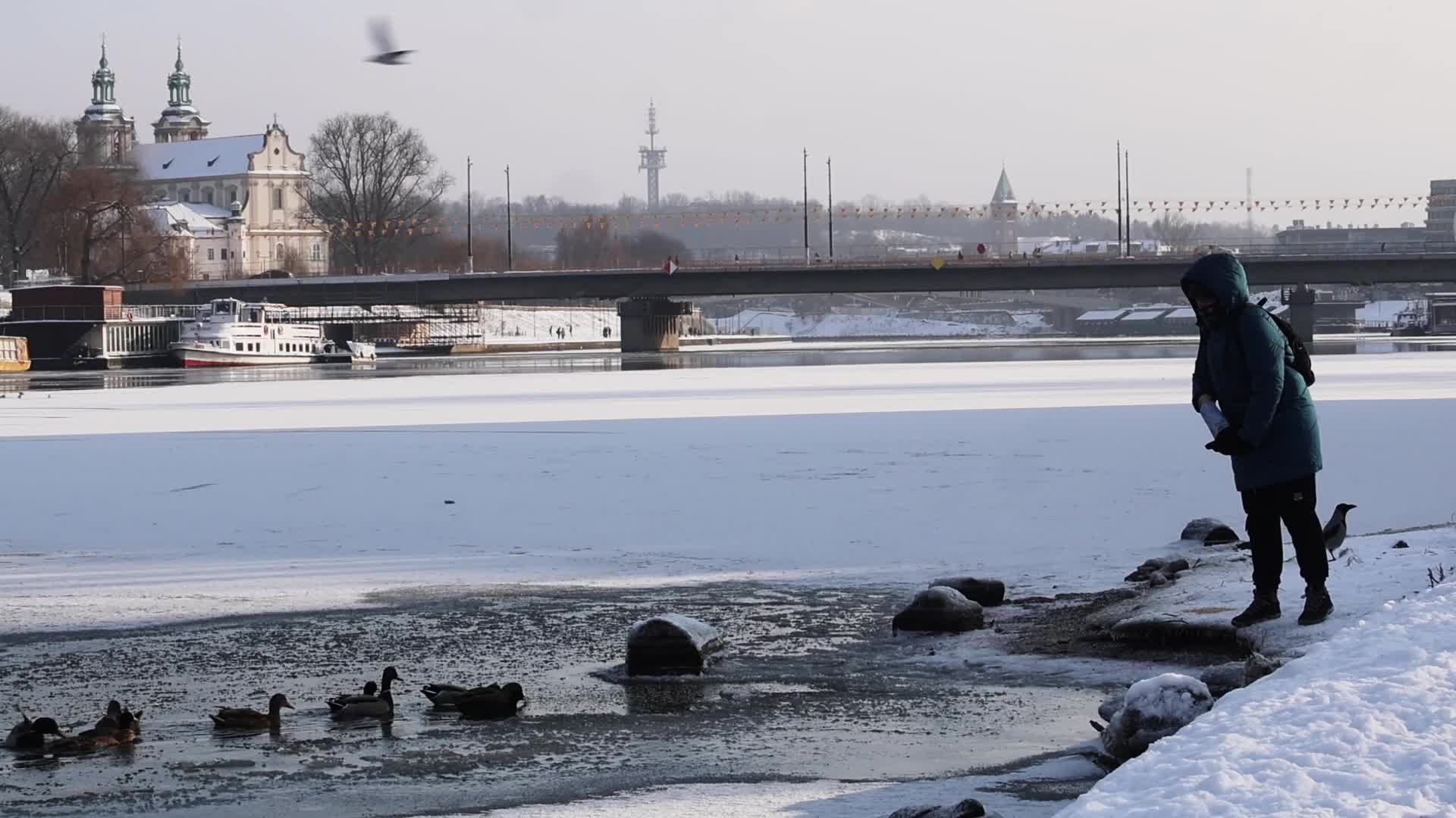 Poland's largest river - Vistula covered with ice