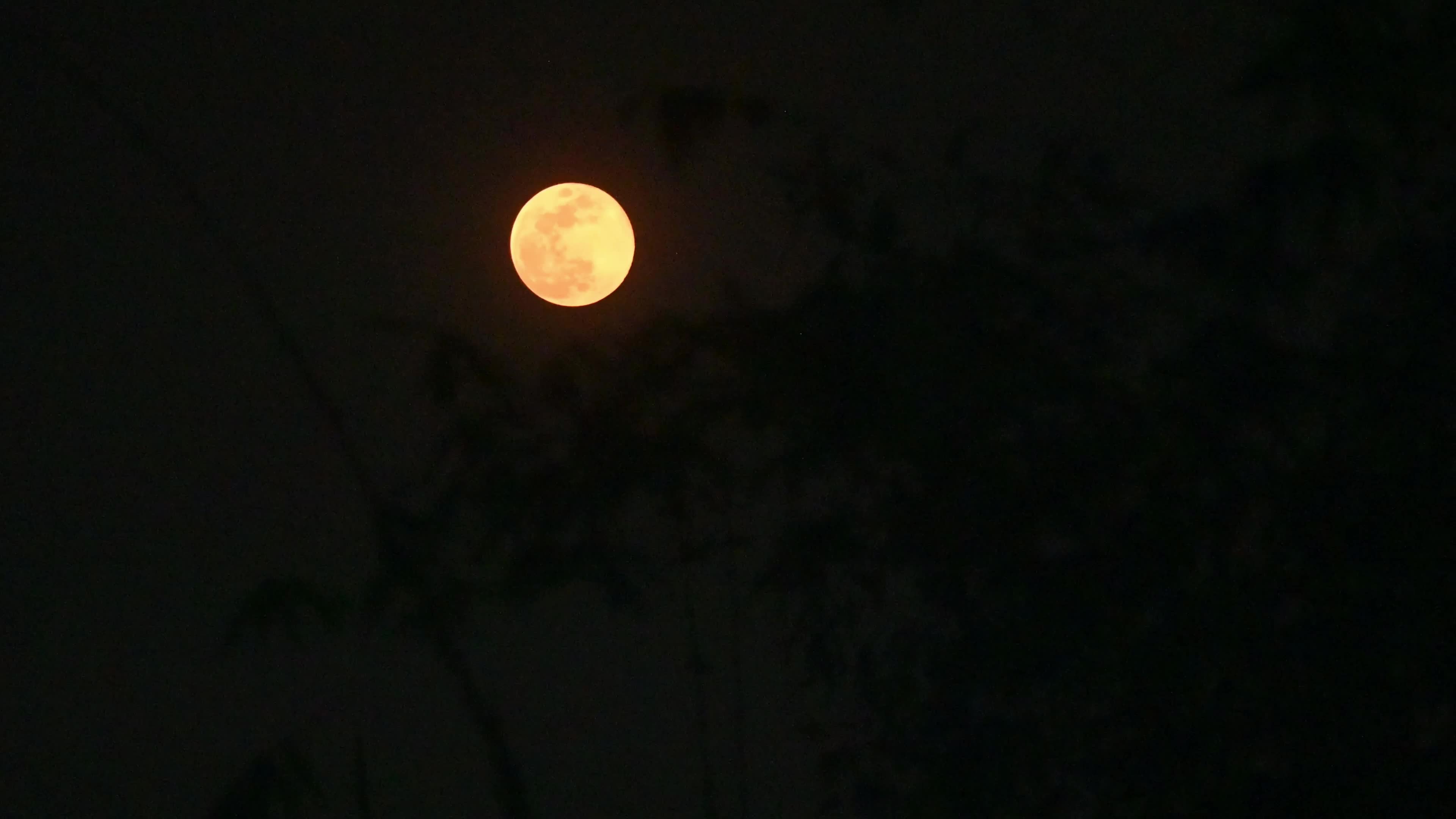 The First Supermoon Of 2026 - Wolf Moon - Lunar Event 