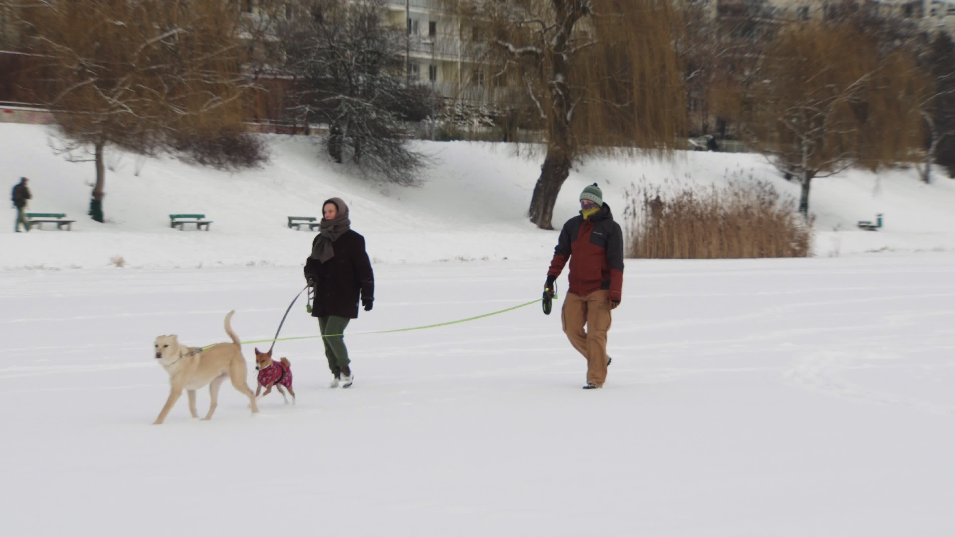Heavy snowfall, strong winds and flood warnings issued across Poland