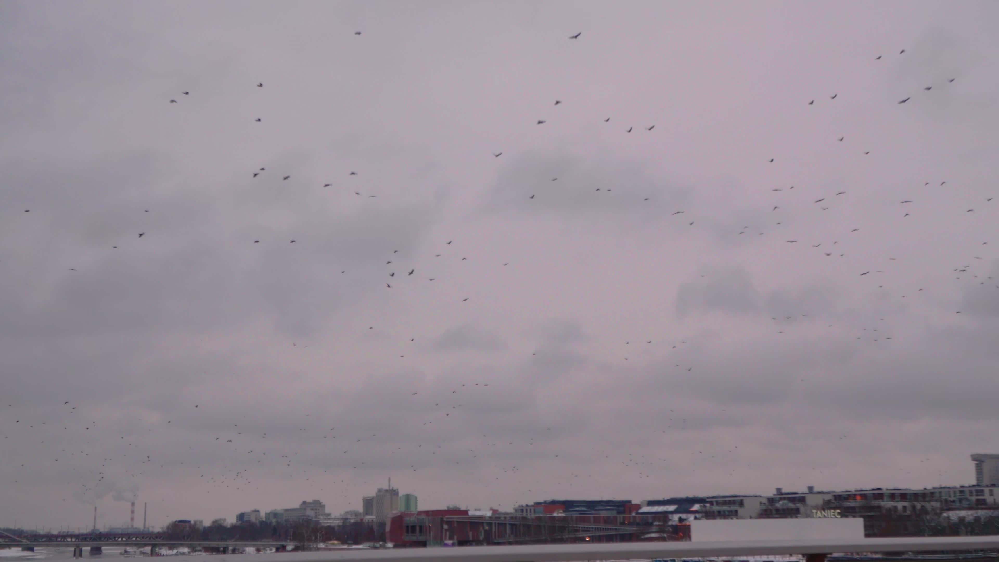 Heavy snowfall, strong winds and flood warnings issued across Poland