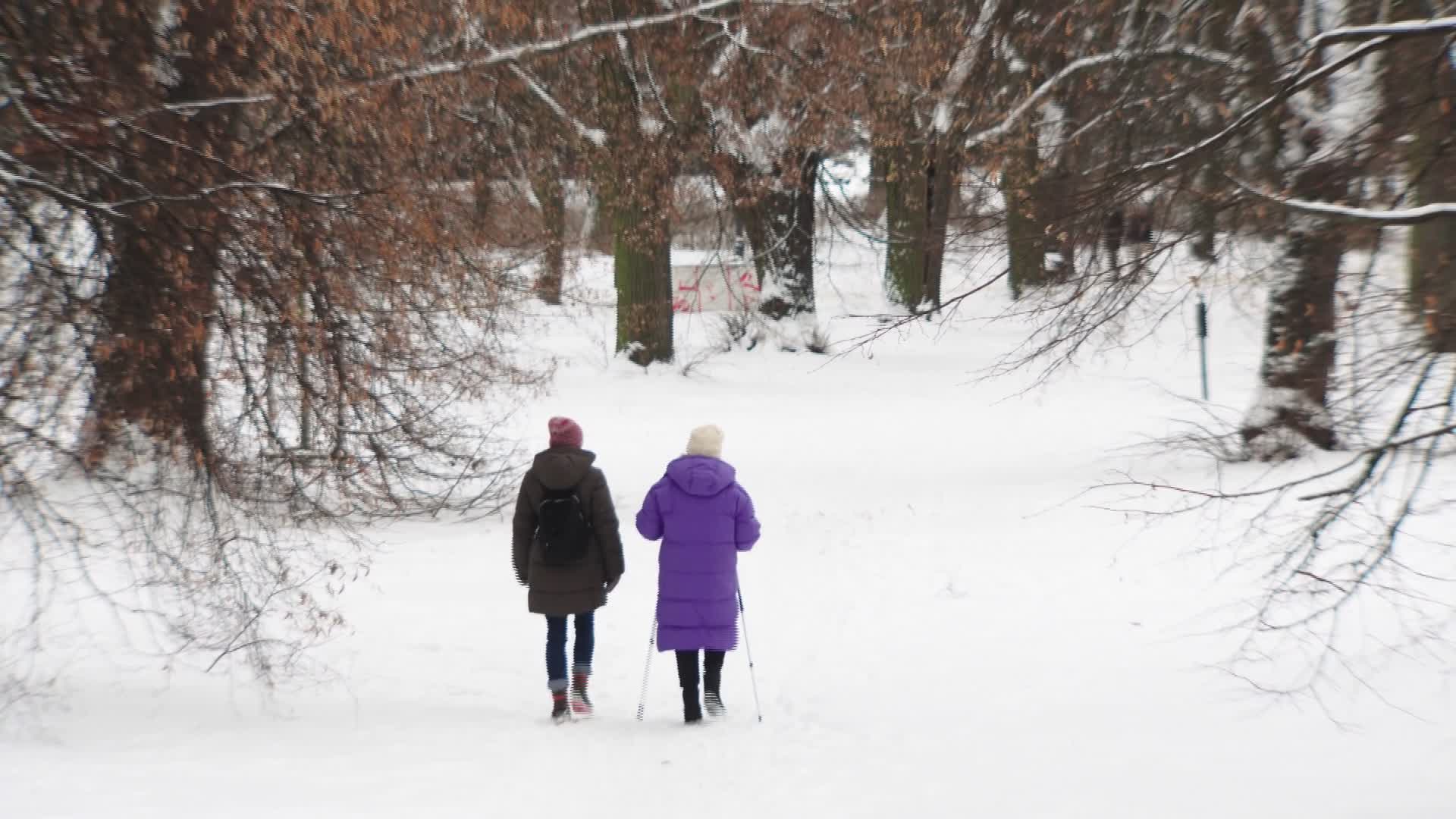 Heavy snowfall, strong winds and flood warnings issued across Poland - 01/10/2026