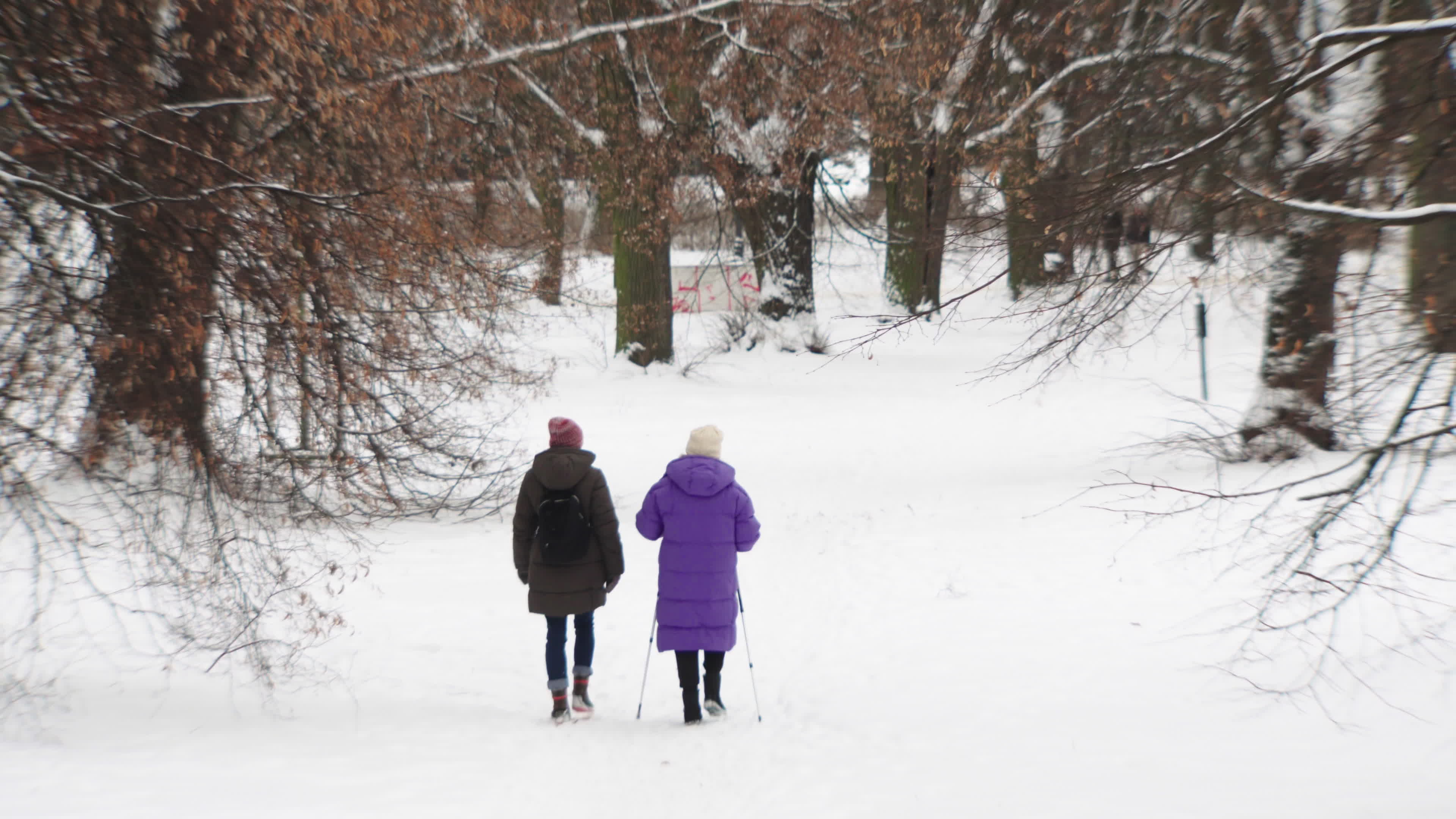 Strong winds and heavy snowfall as warnings issued across Poland
