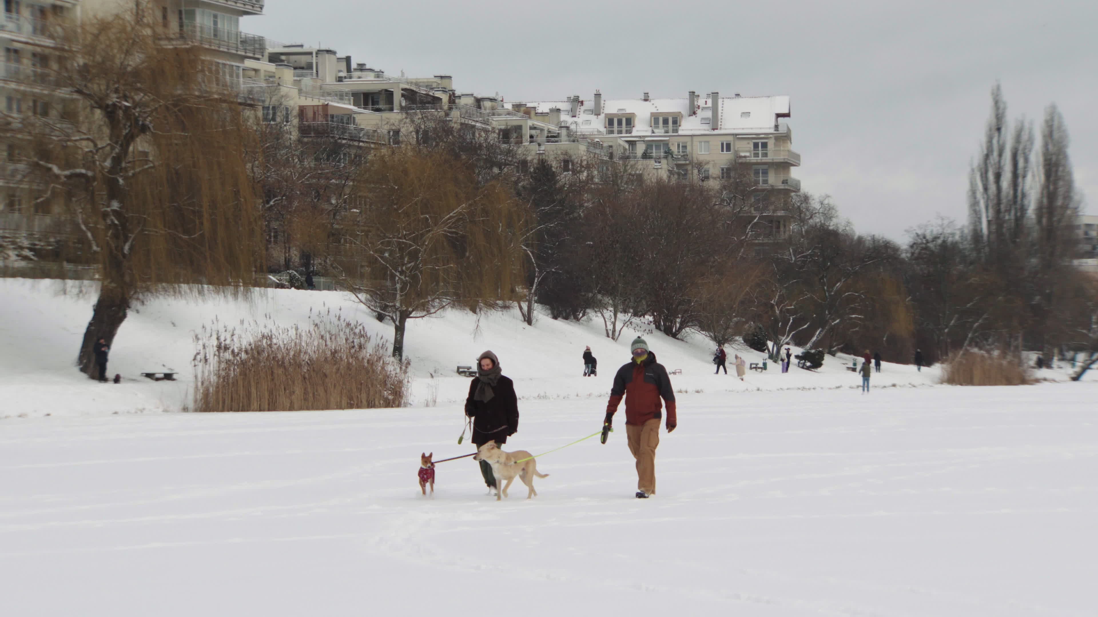 Strong winds and heavy snowfall as warnings issued across Poland