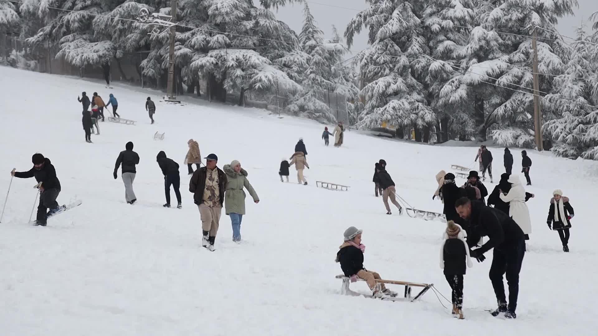 Snowfall in Blida, Algeria