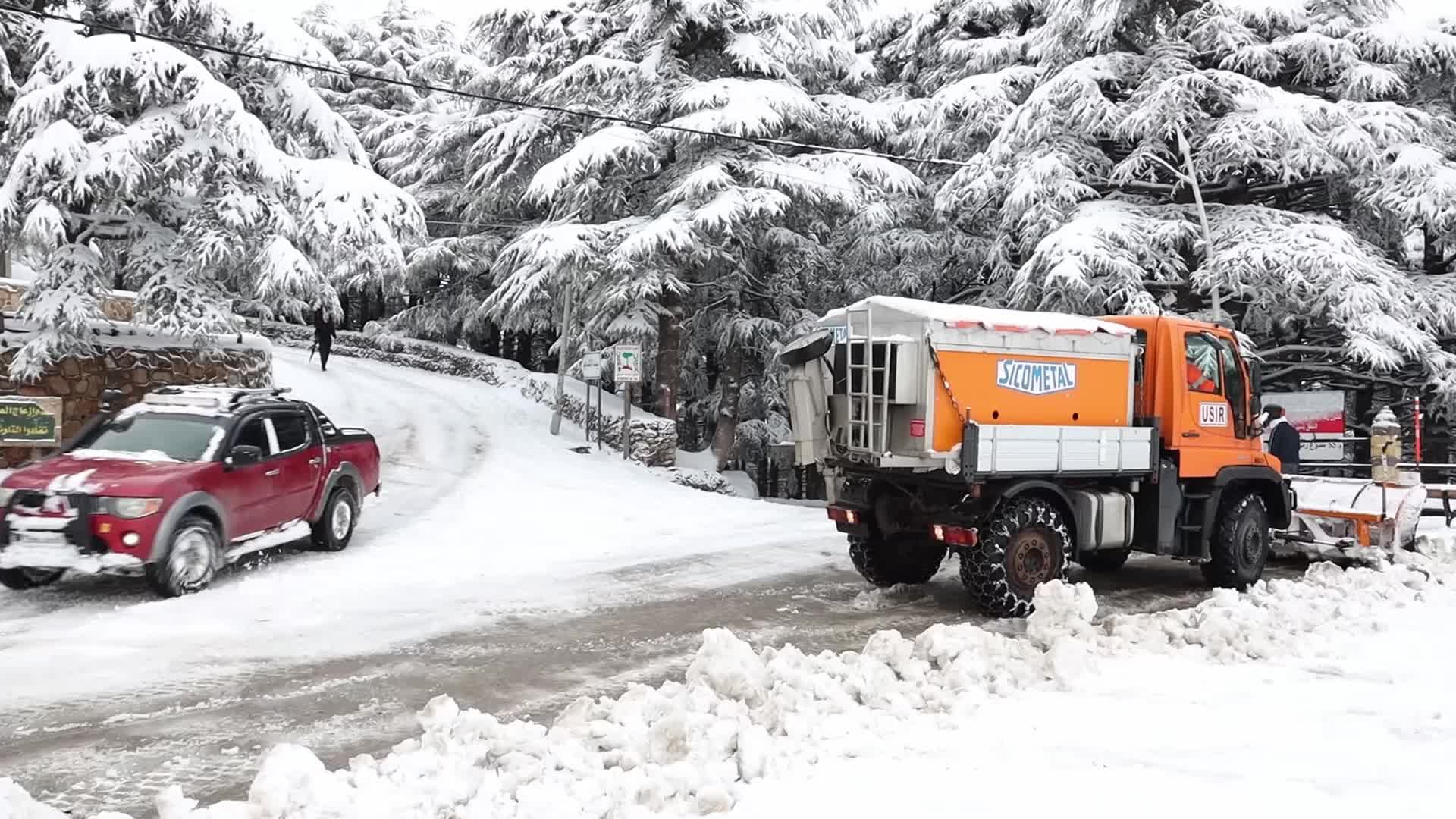 Snowfall in Blida, Algeria