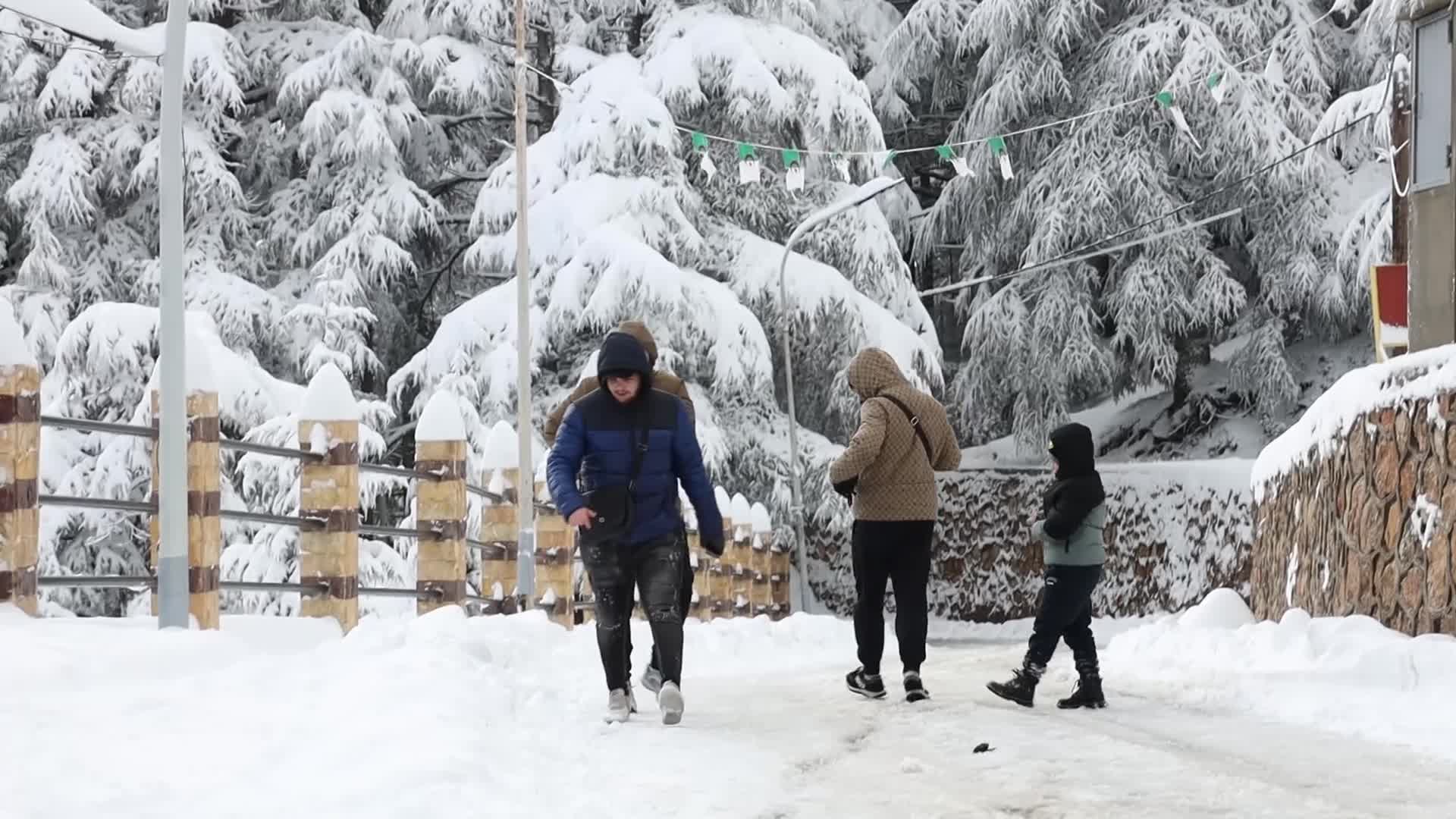 Snowfall in Blida, Algeria