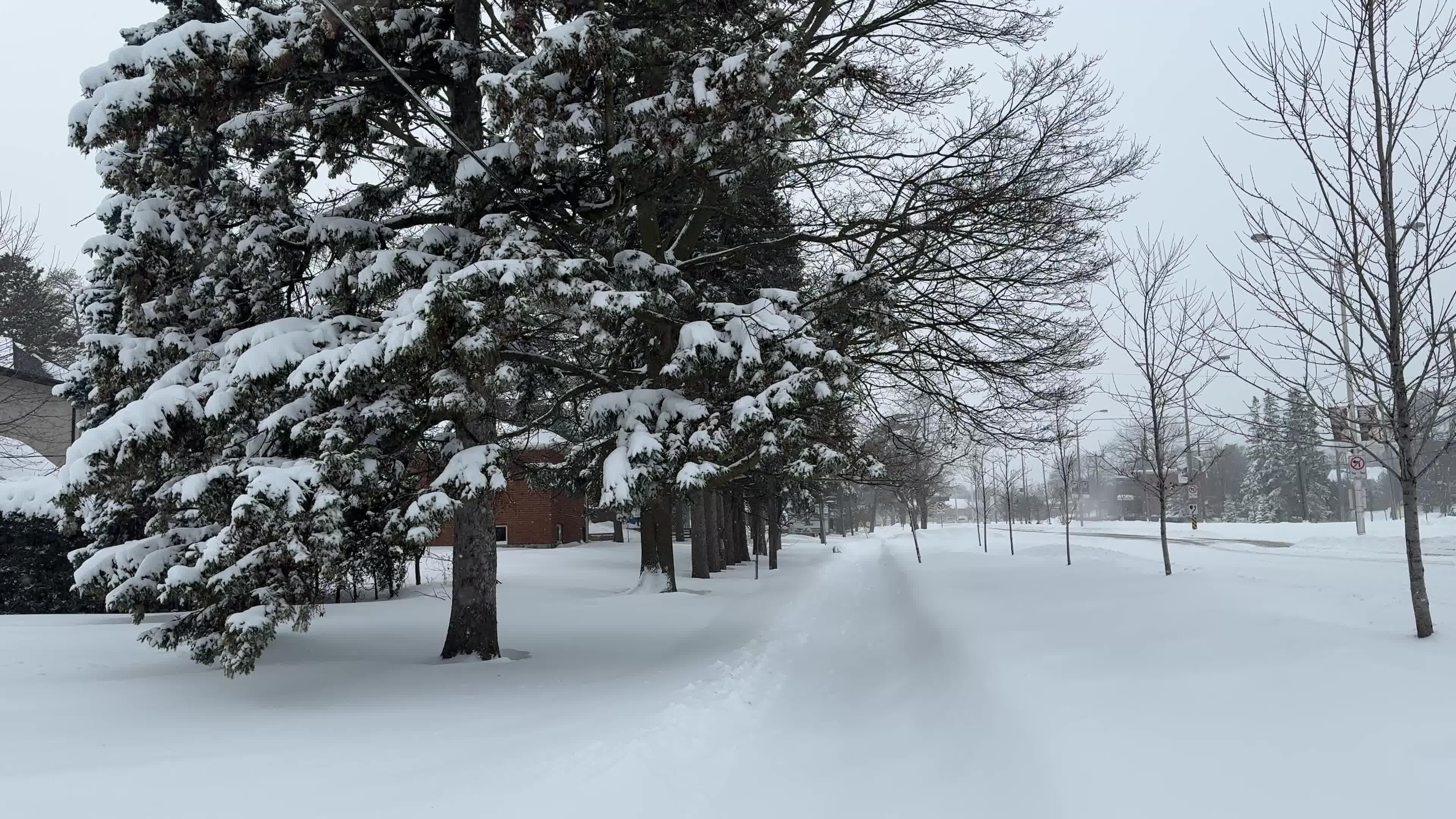 Snowstorm in Toronto, Canada 
