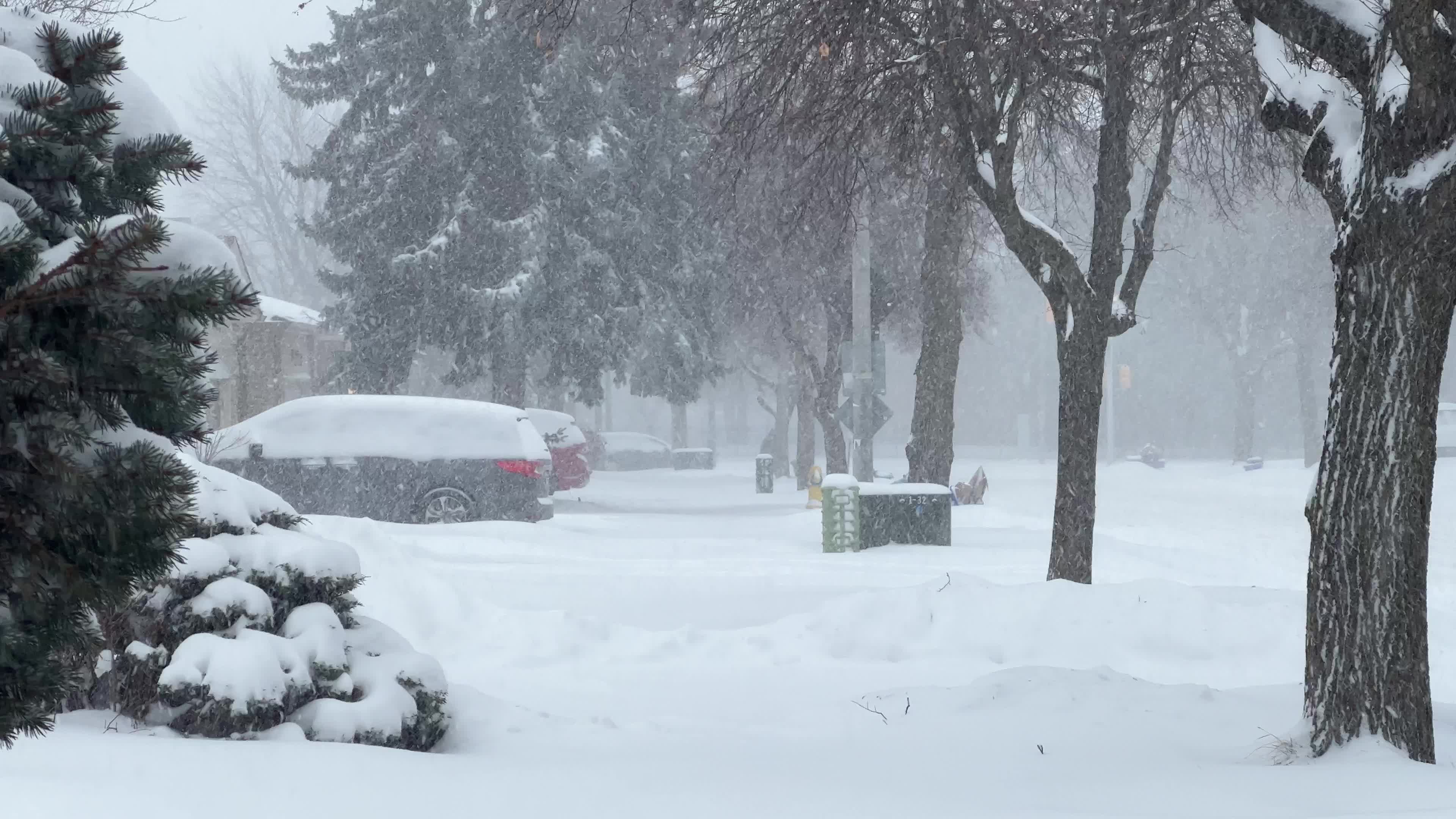 Biggest snowstorm of the winter season hits Toronto