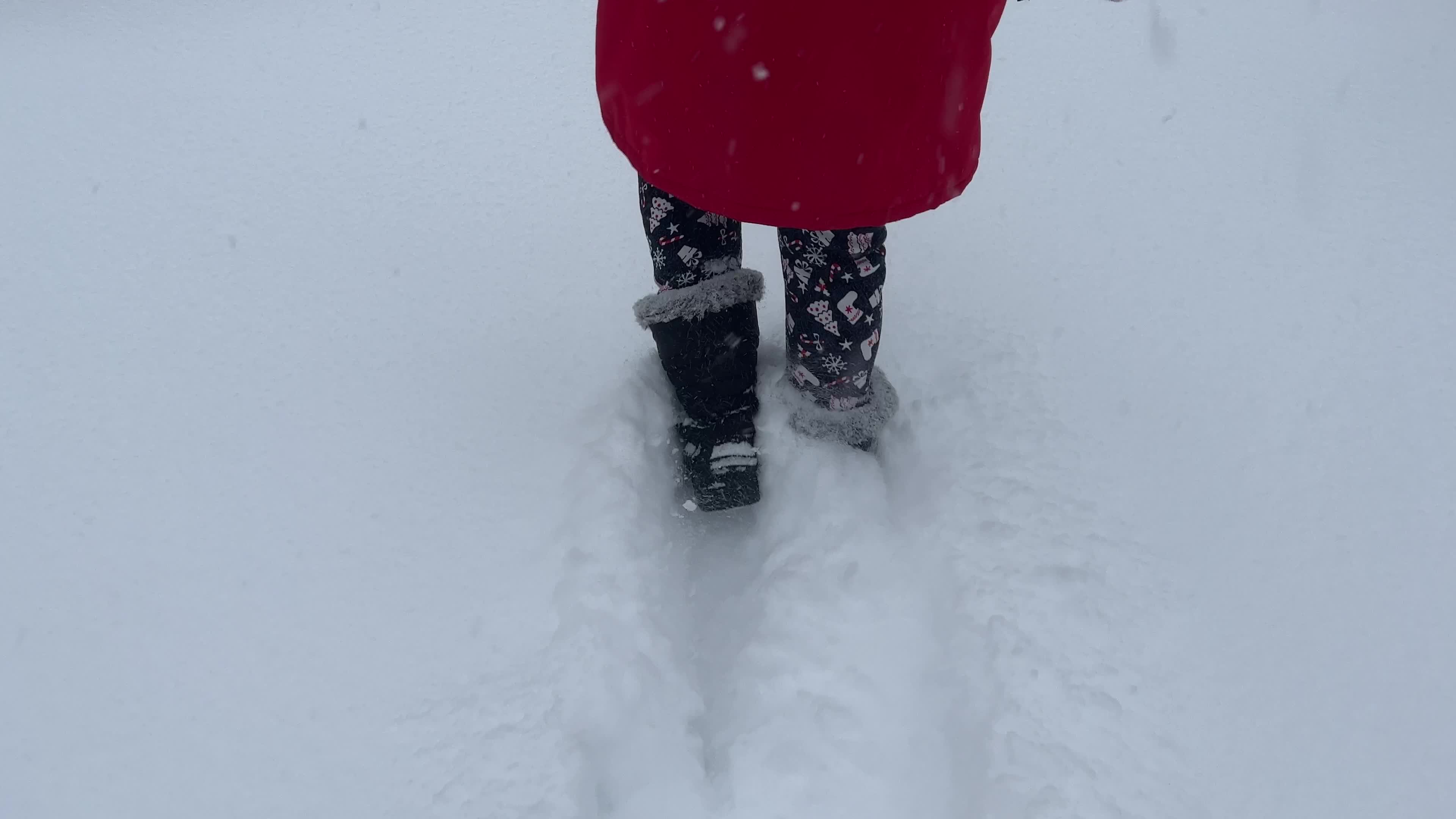 Biggest snowstorm of the winter season hits Toronto