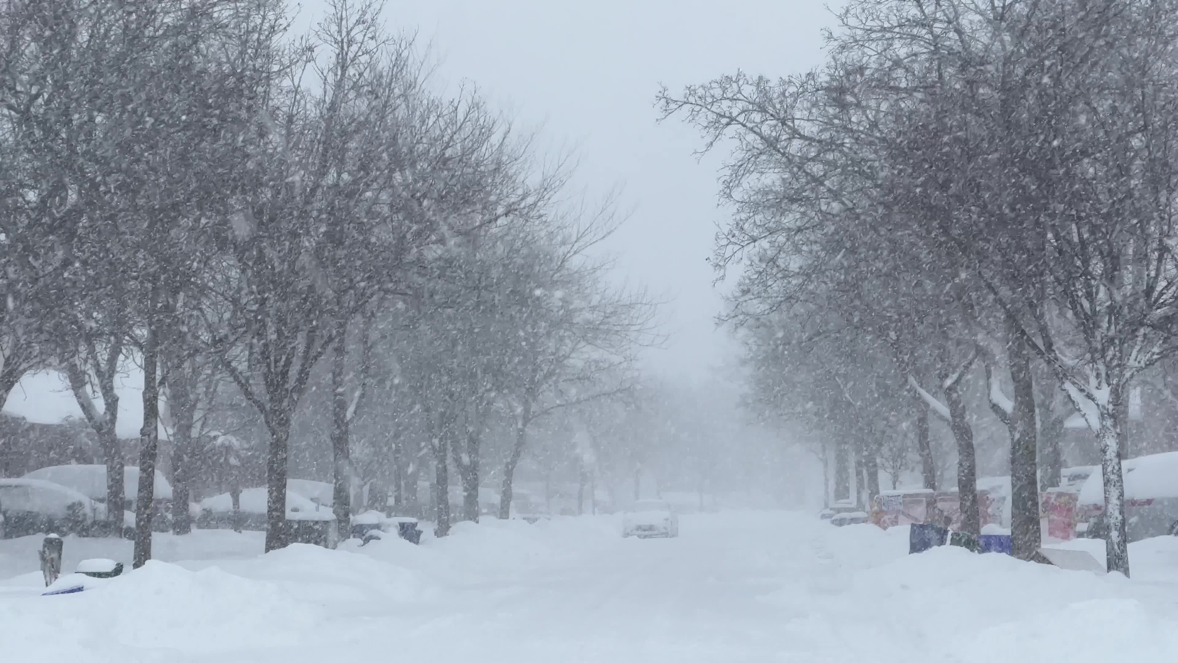 Biggest snowstorm of the winter season hits Toronto