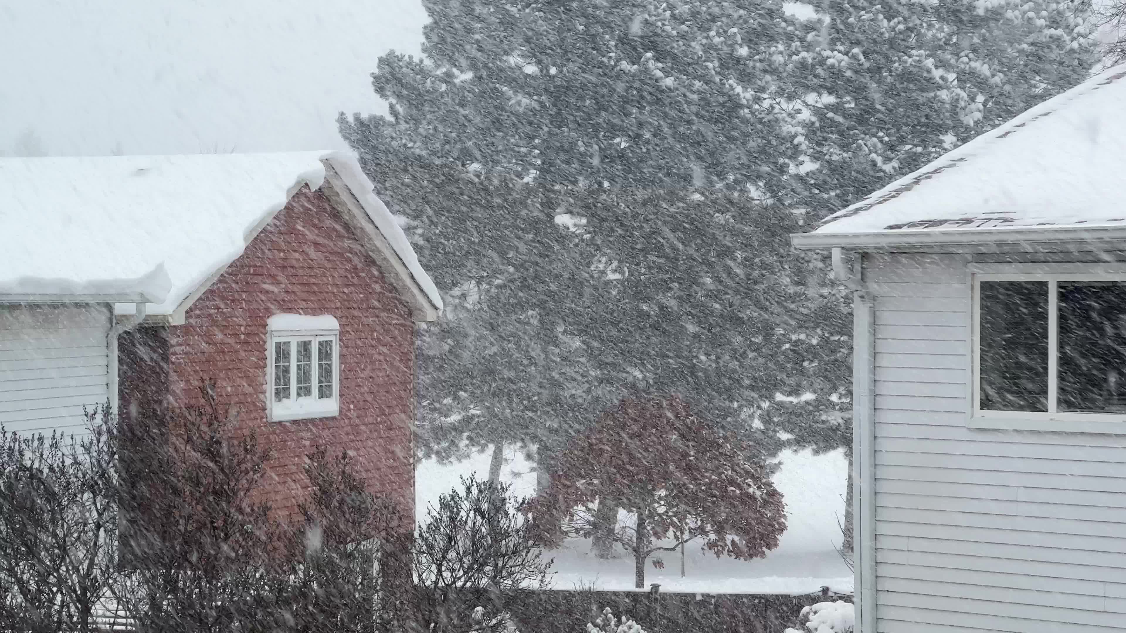 Biggest snowstorm of the winter season hits Toronto