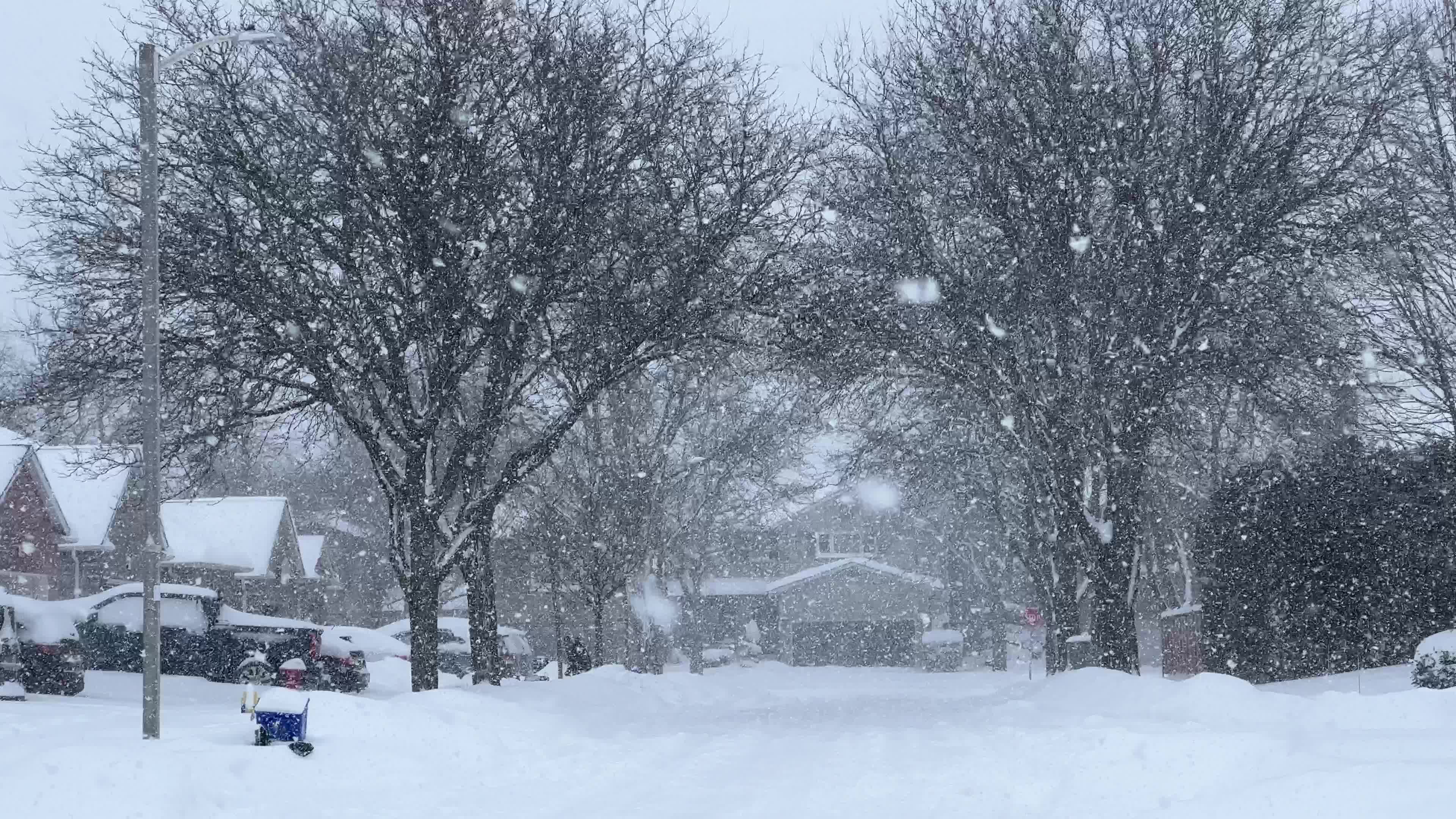 Biggest snowstorm of the winter season hits Toronto