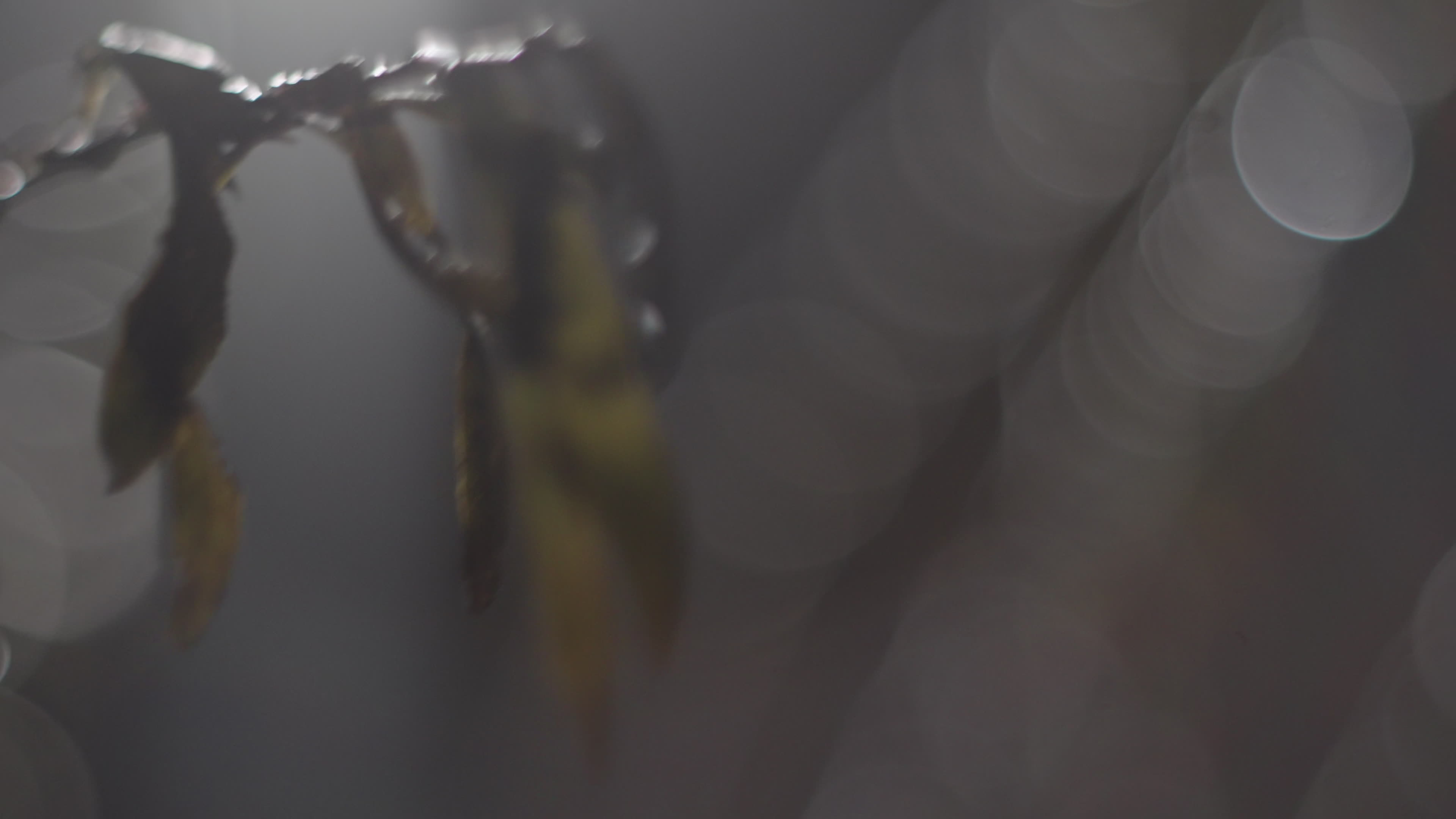 Freezing rain and ice cause major disruptions across Poland