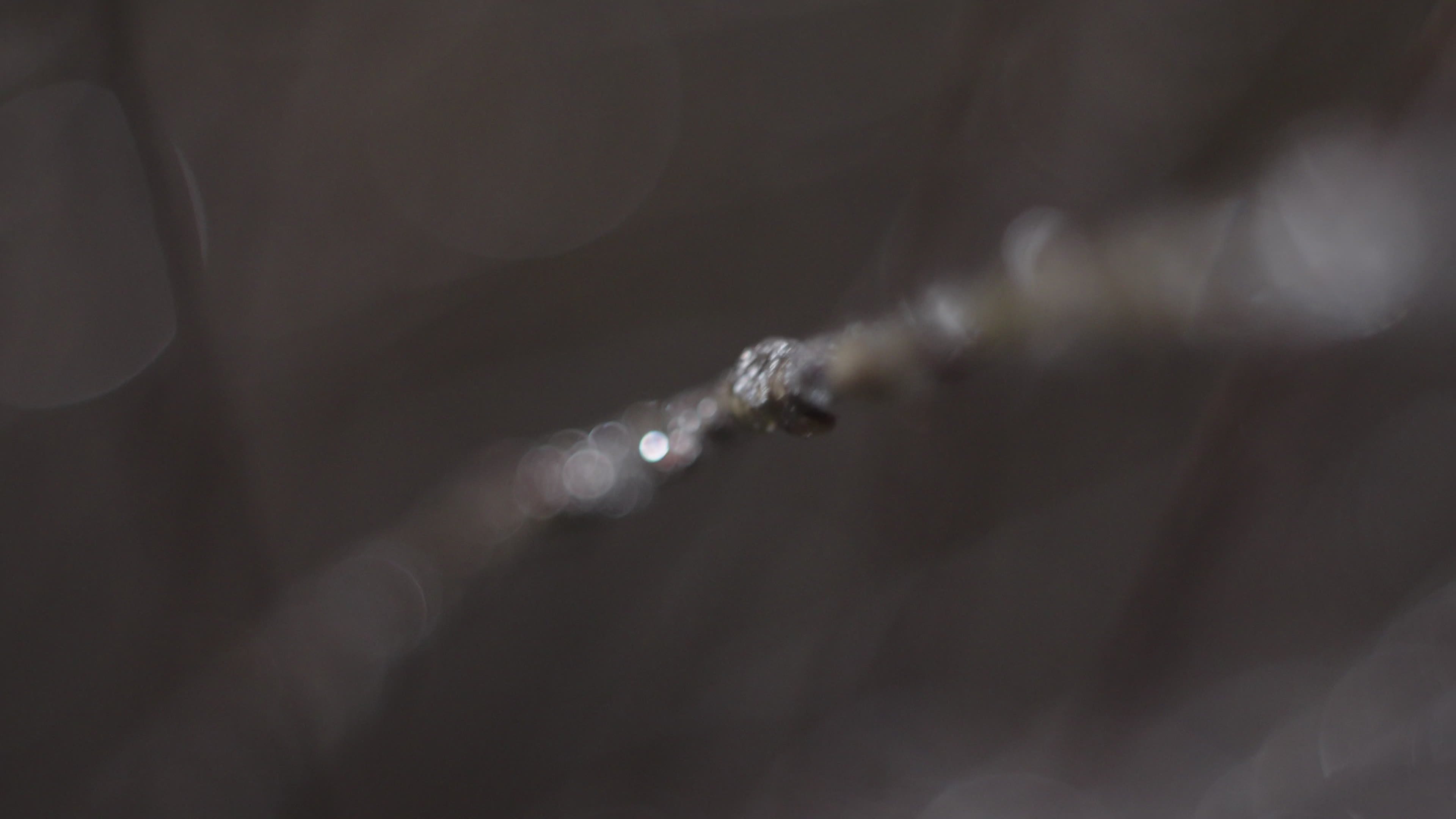 Freezing rain and ice cause major disruptions across Poland
