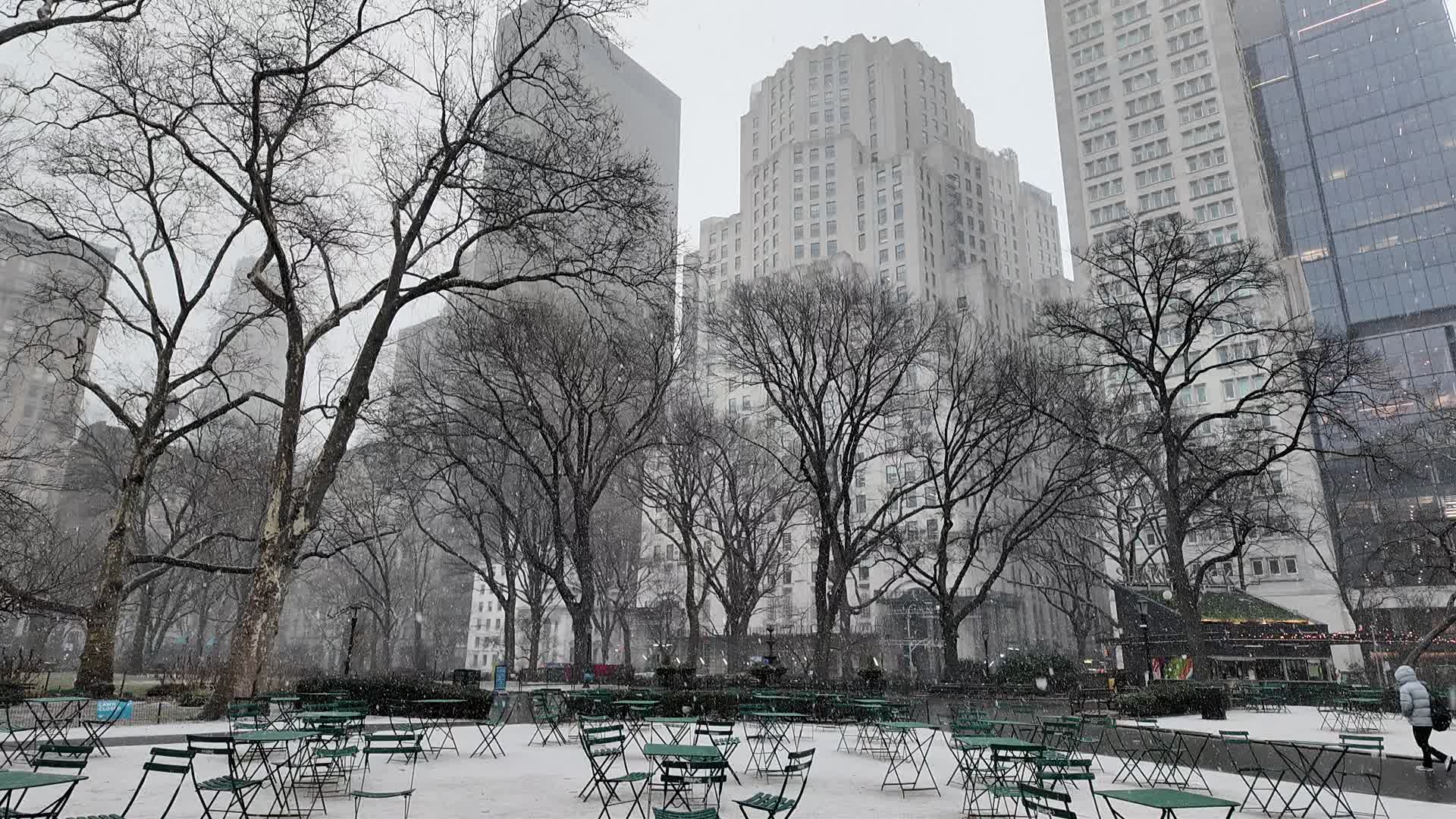 New York City Snow