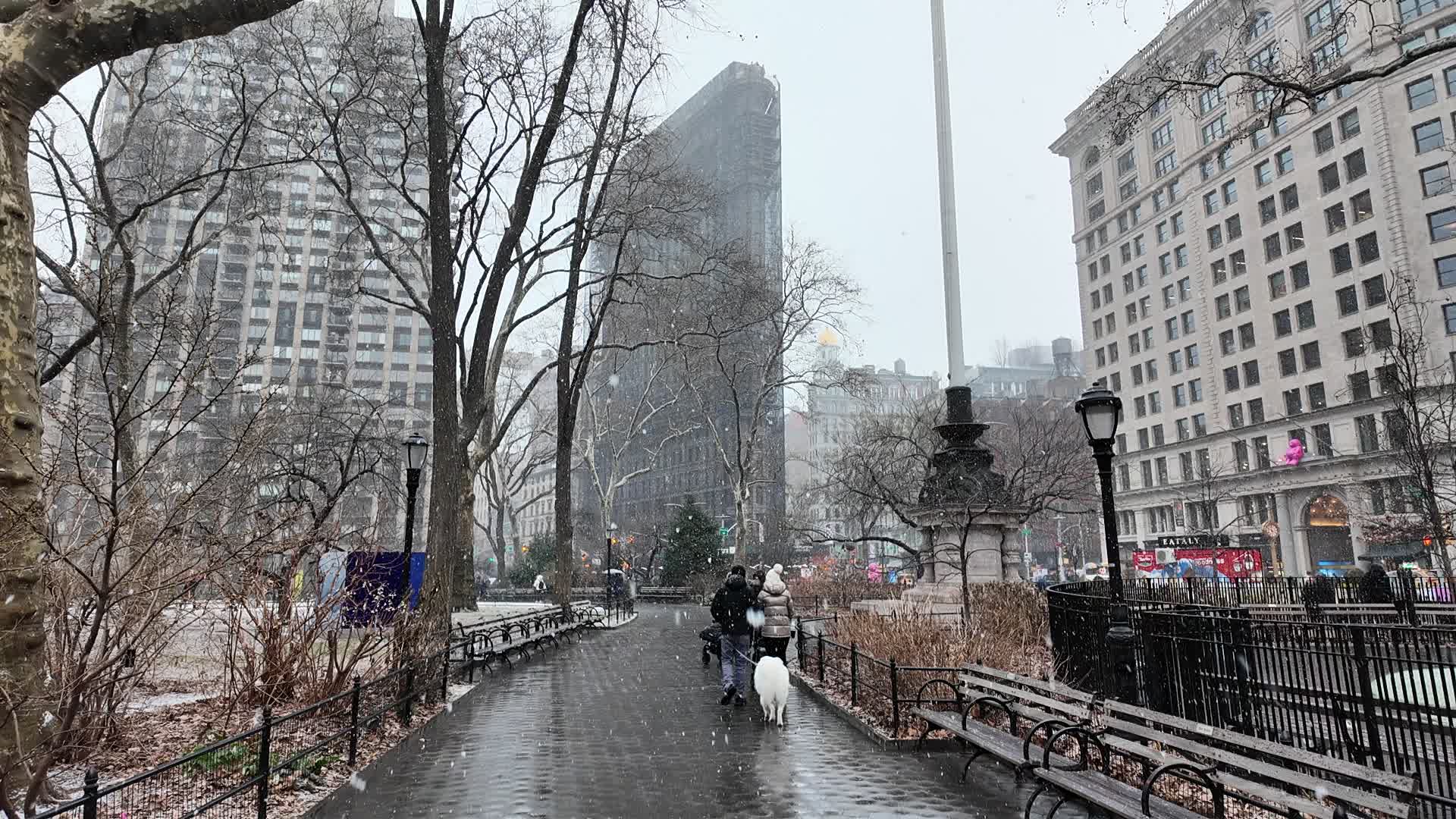 New York City Snow