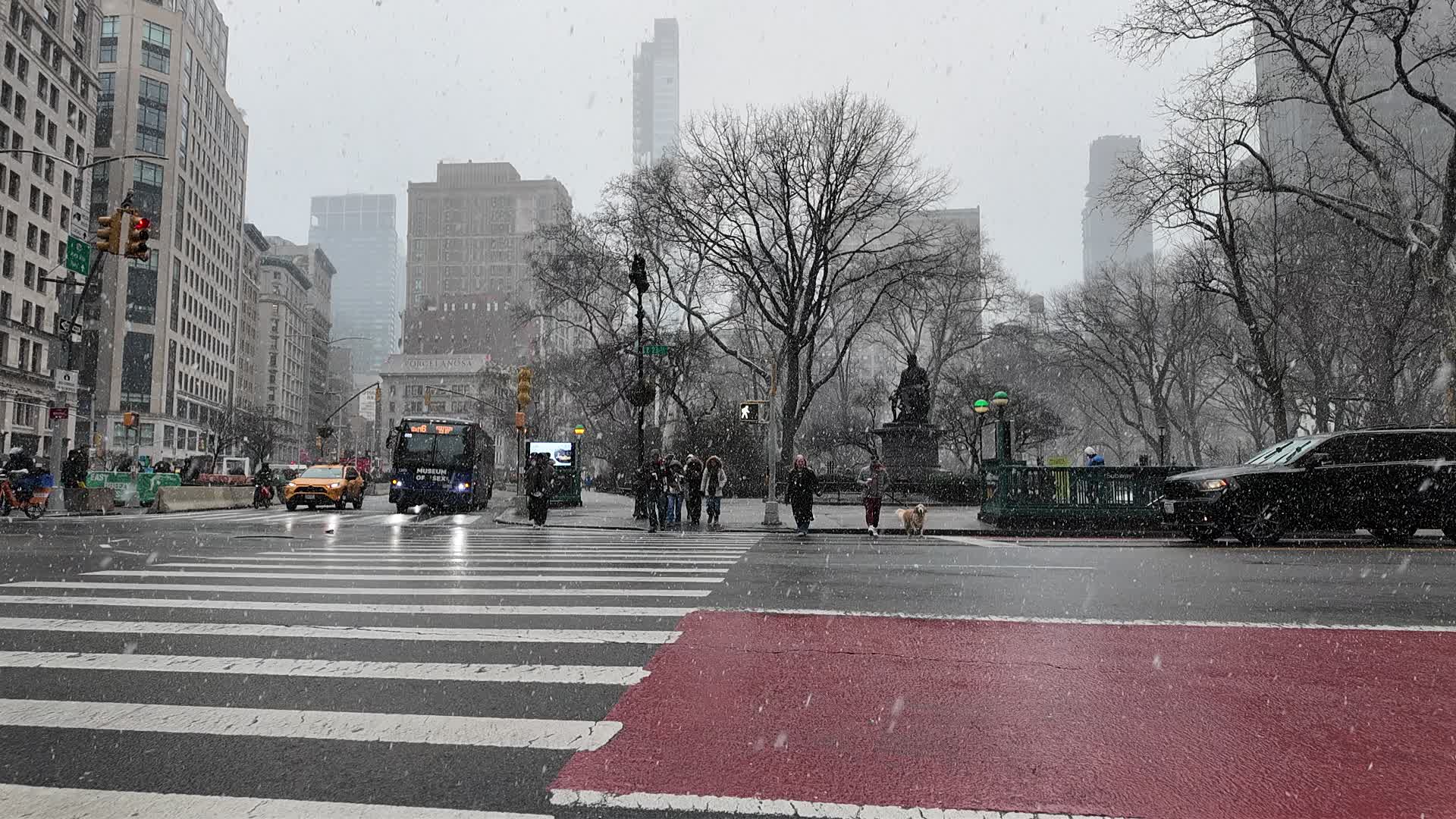 New York Snow
