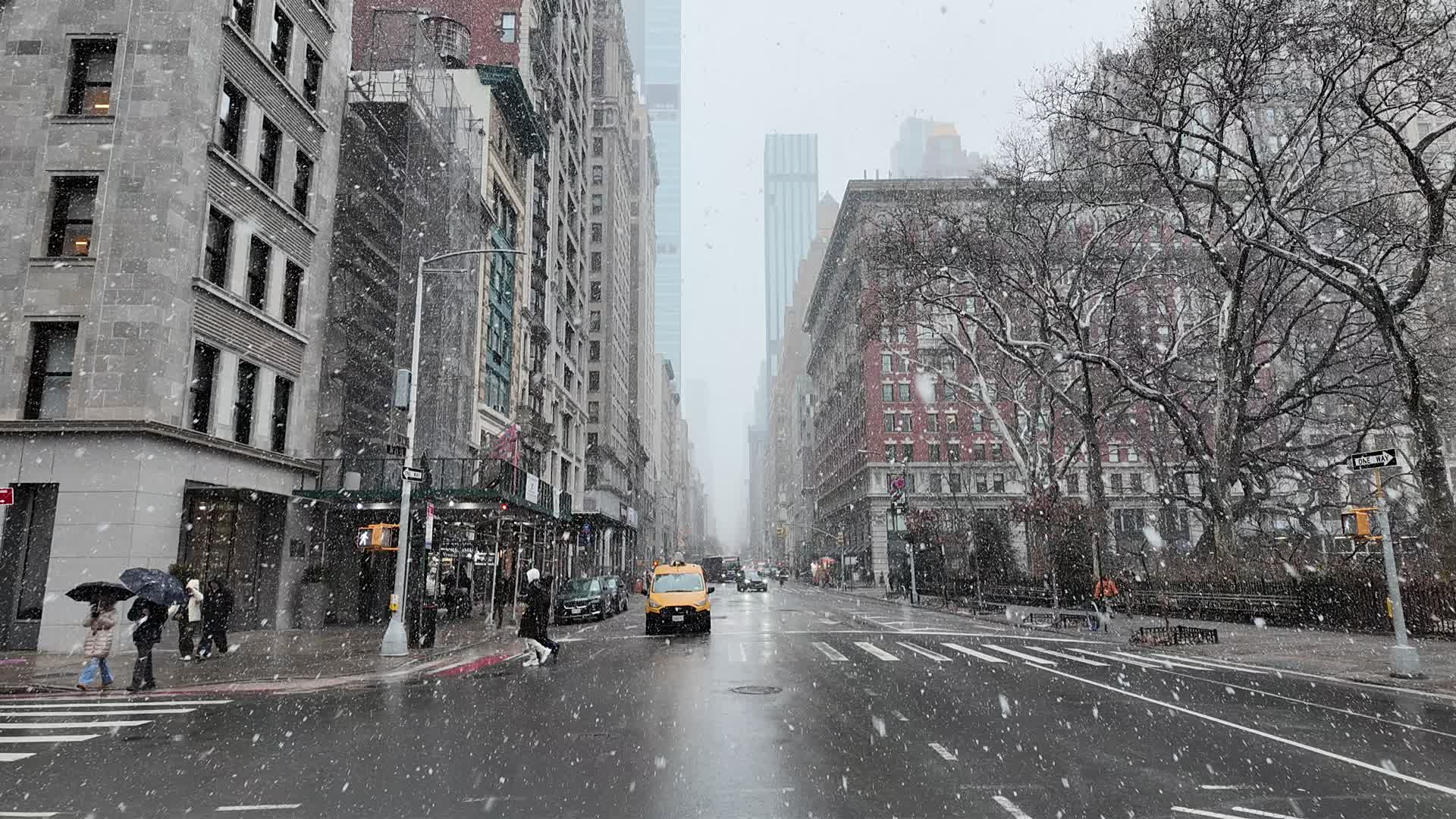 New York Snow
