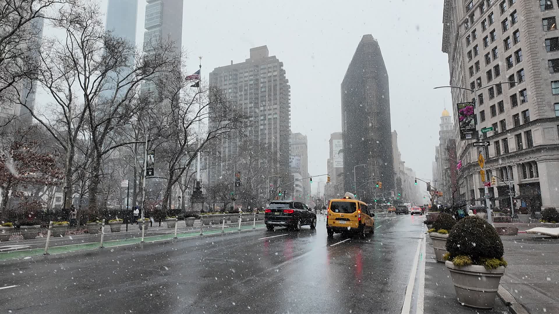 New York Snow
