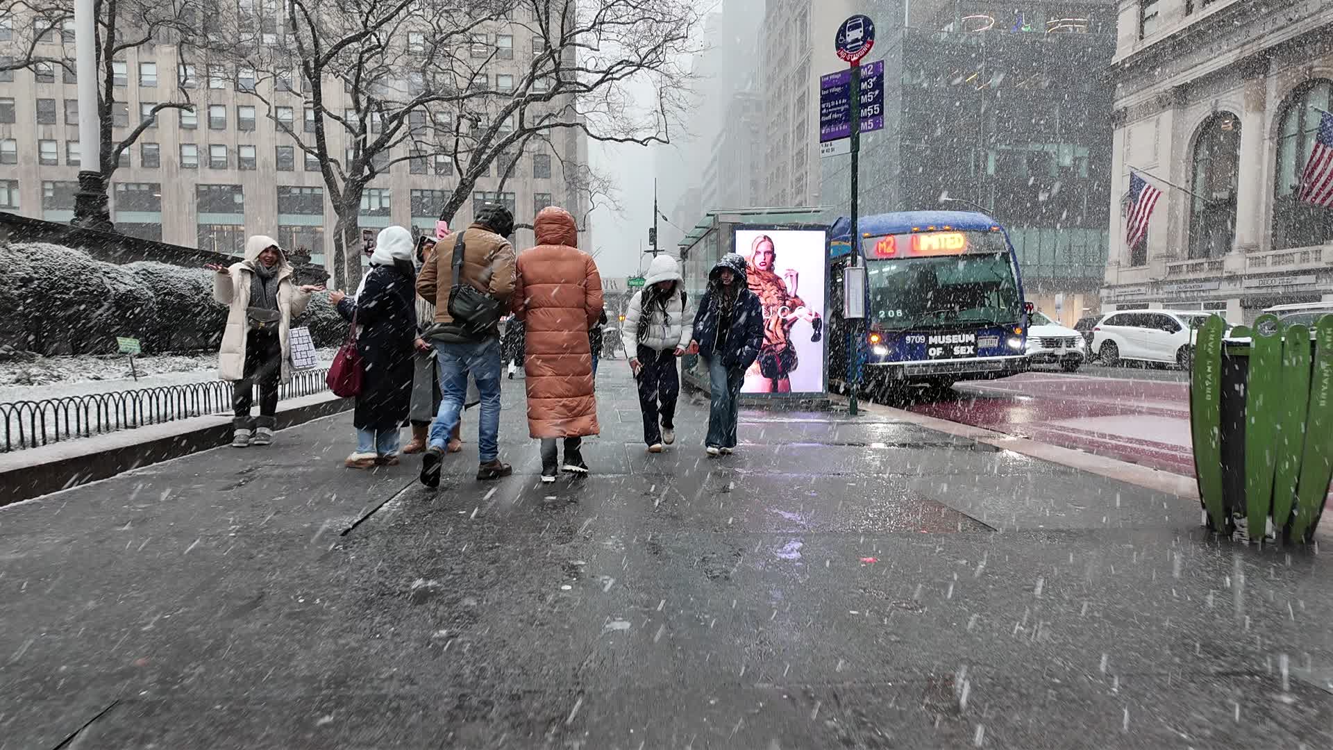 New York Snow
