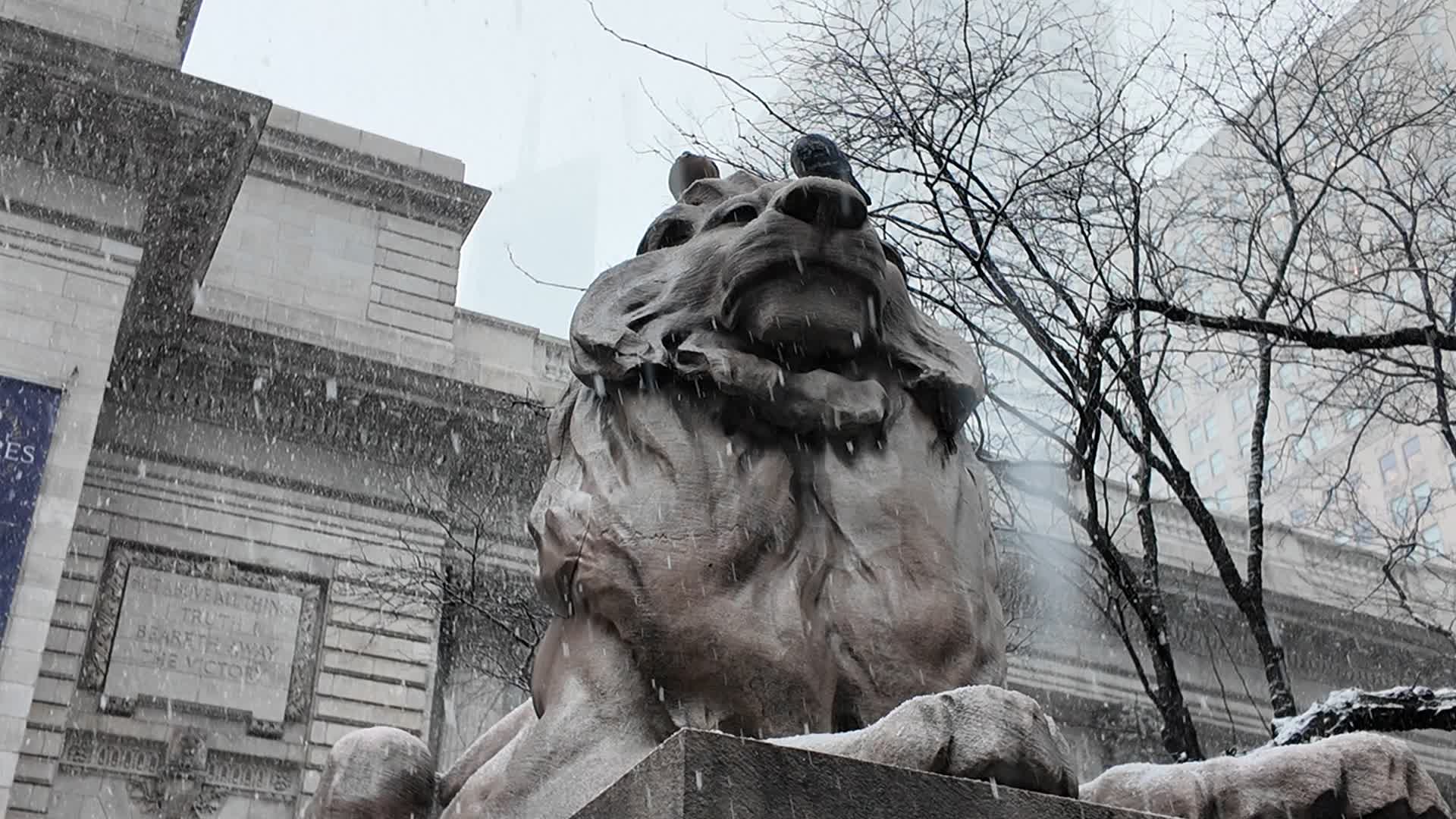 New York City Snow
