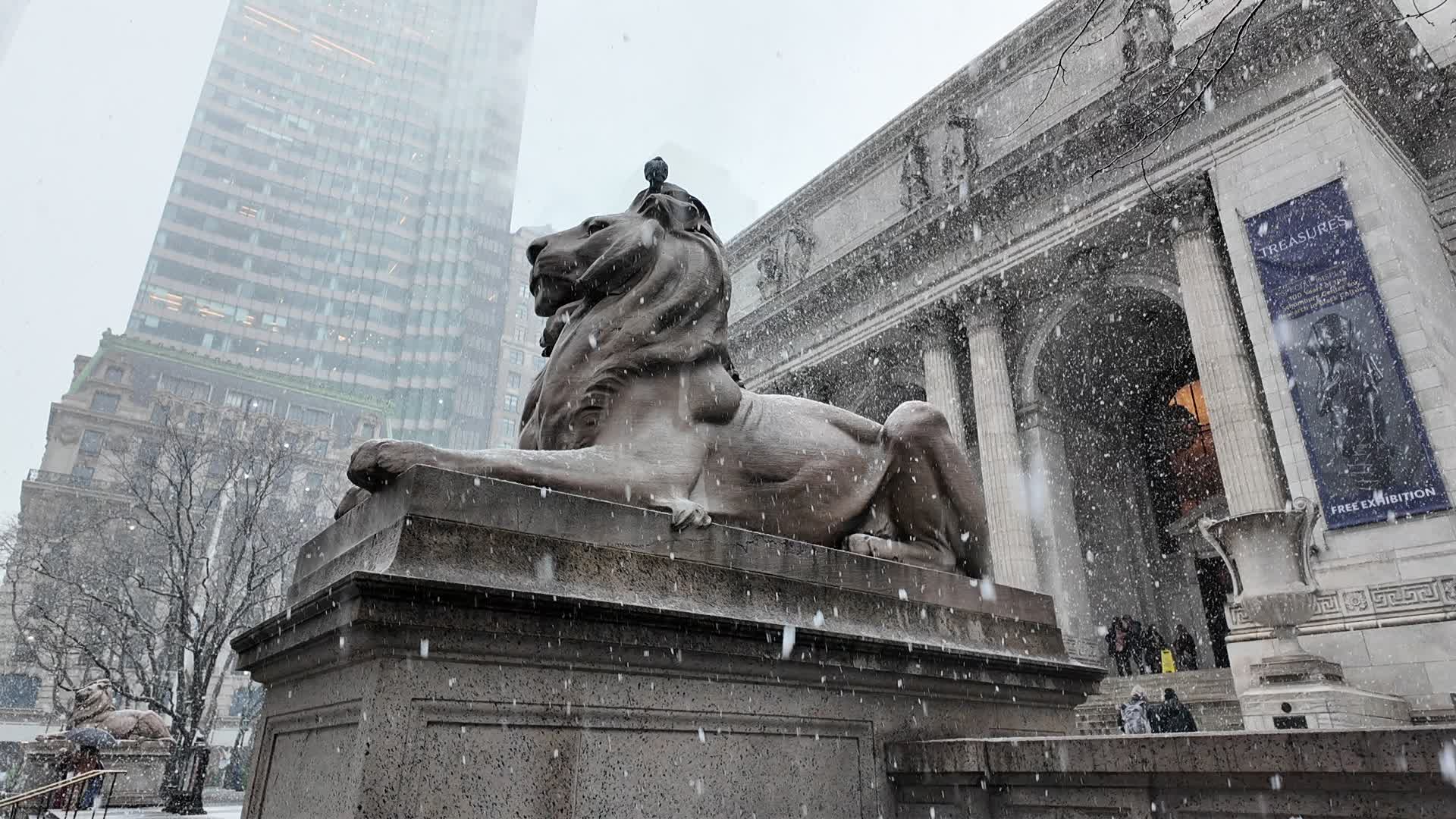 New York City Snow
