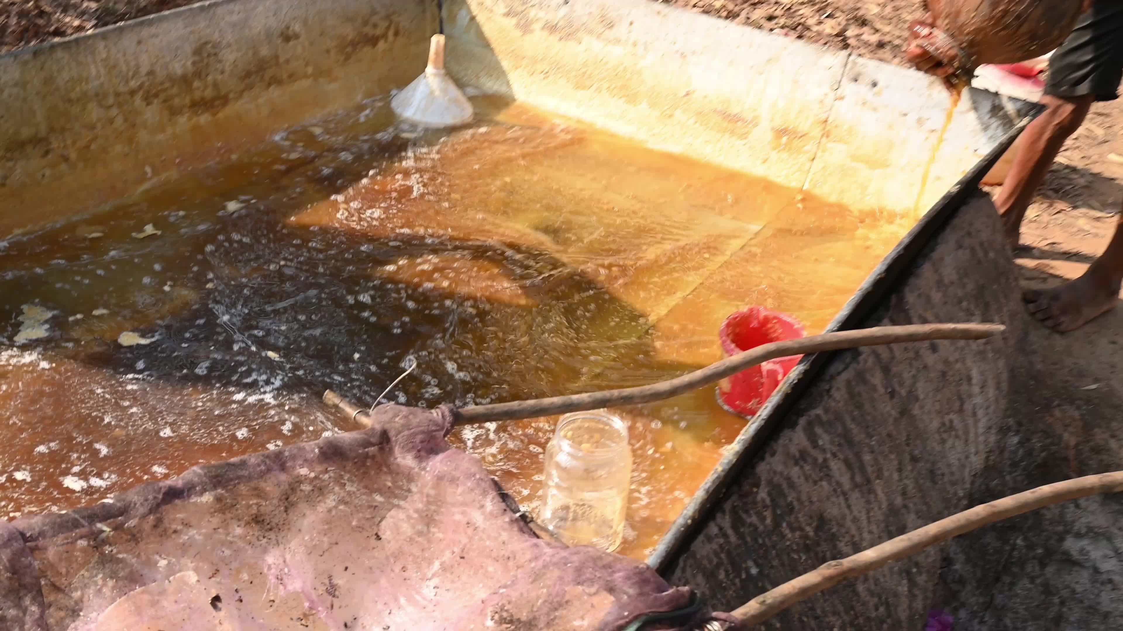 Date palm jaggery production in West Bengal - Making 