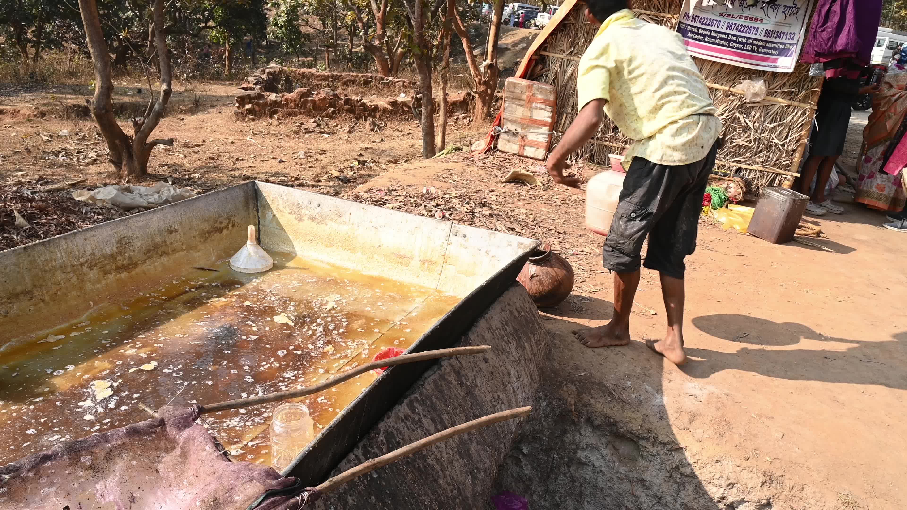 Date palm jaggery production in West Bengal - Making 