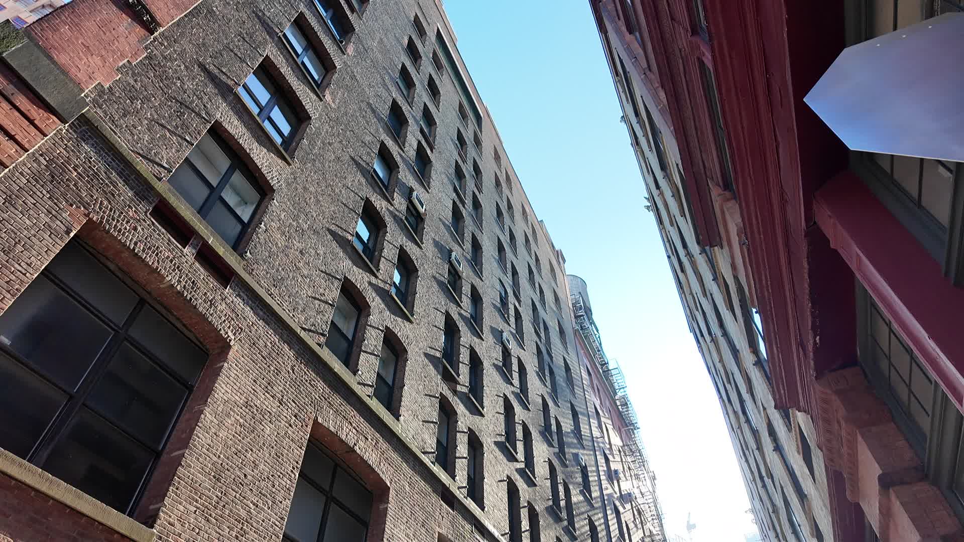New York City Scenes
