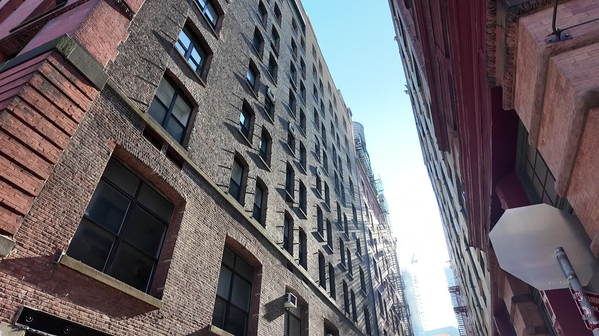 New York City Scenes
