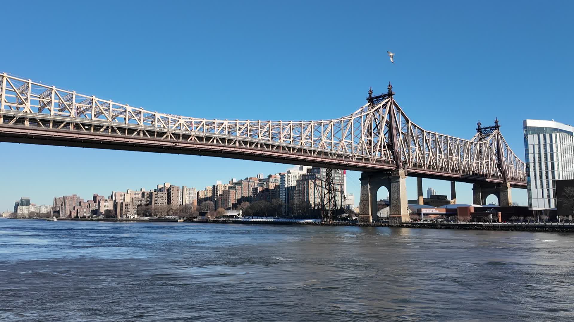 New York City Scenes
