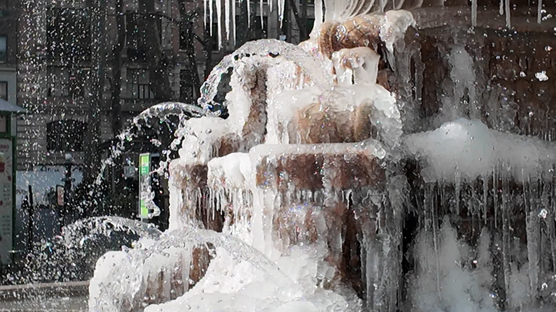 New York City Cold
